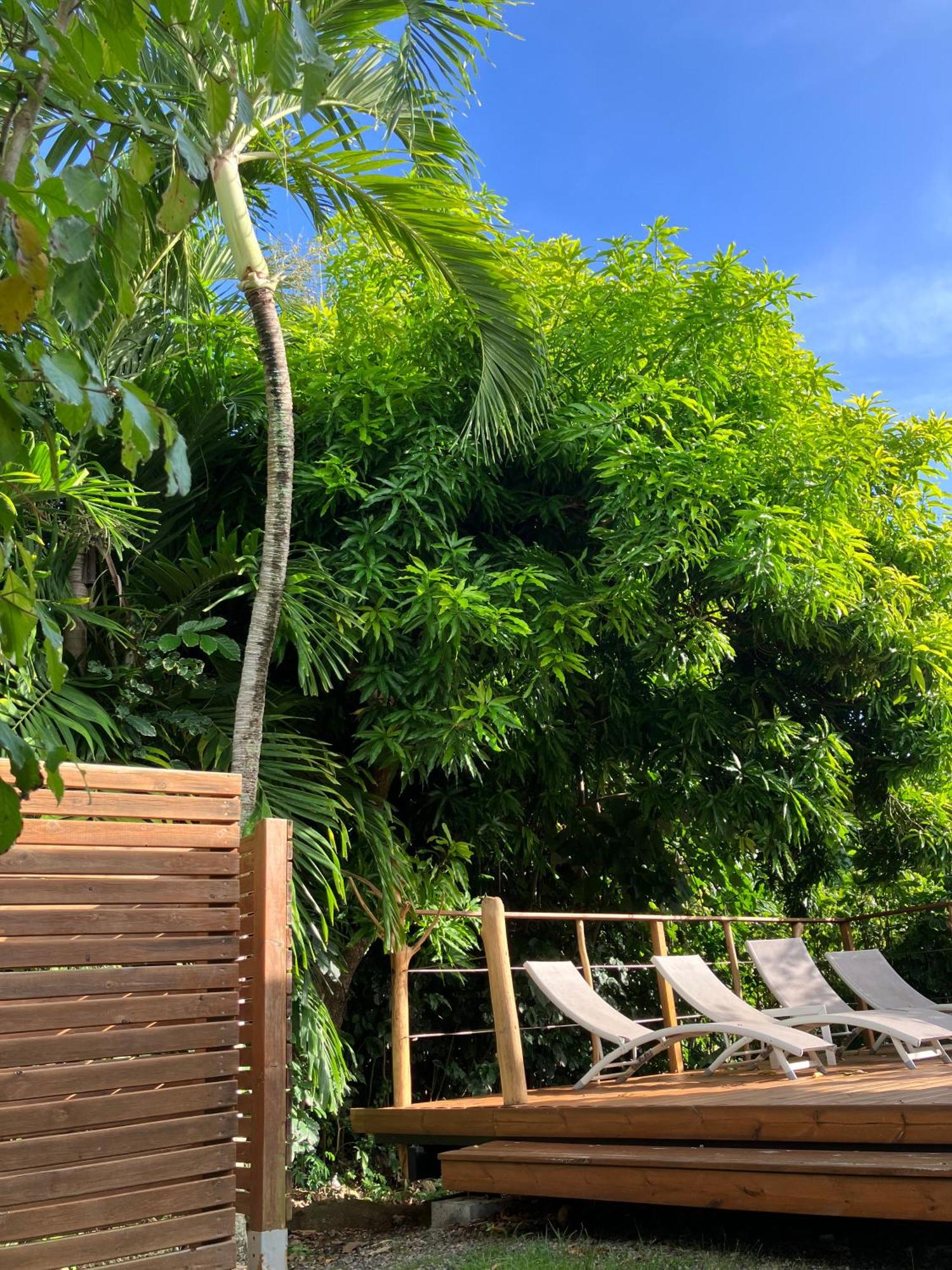 Gîte Zandoli Koko, foto 7