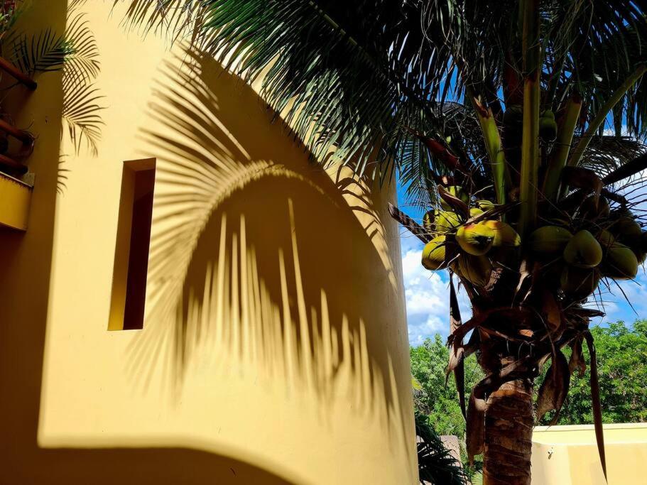 Villa 301, Ground floor, Oceanfront!, foto 11