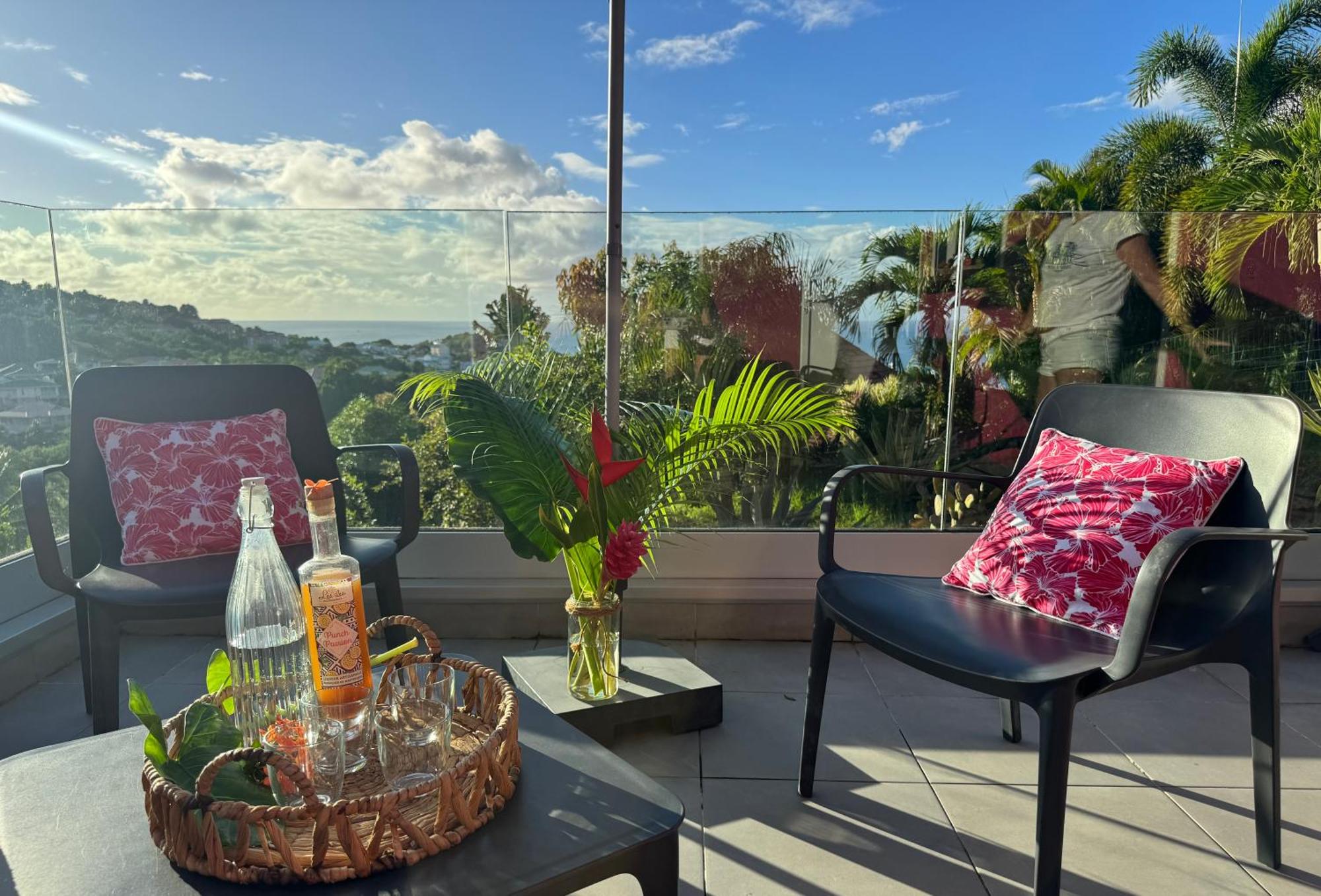 Piscine privée, vue mer, terrasse 40 m2, 2 chambres, foto 6