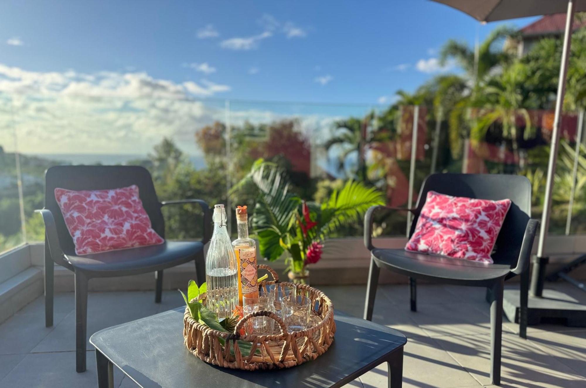 Piscine privée, vue mer, terrasse 40 m2, 2 chambres, foto 9