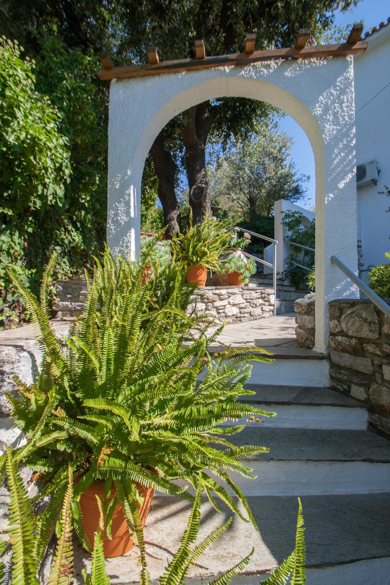 Angela studios