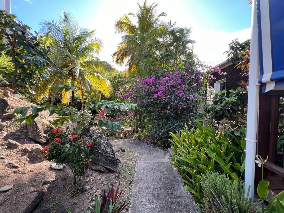 Gîte le Colibri, Bouillante - Plage de petite Anse, imagen 5