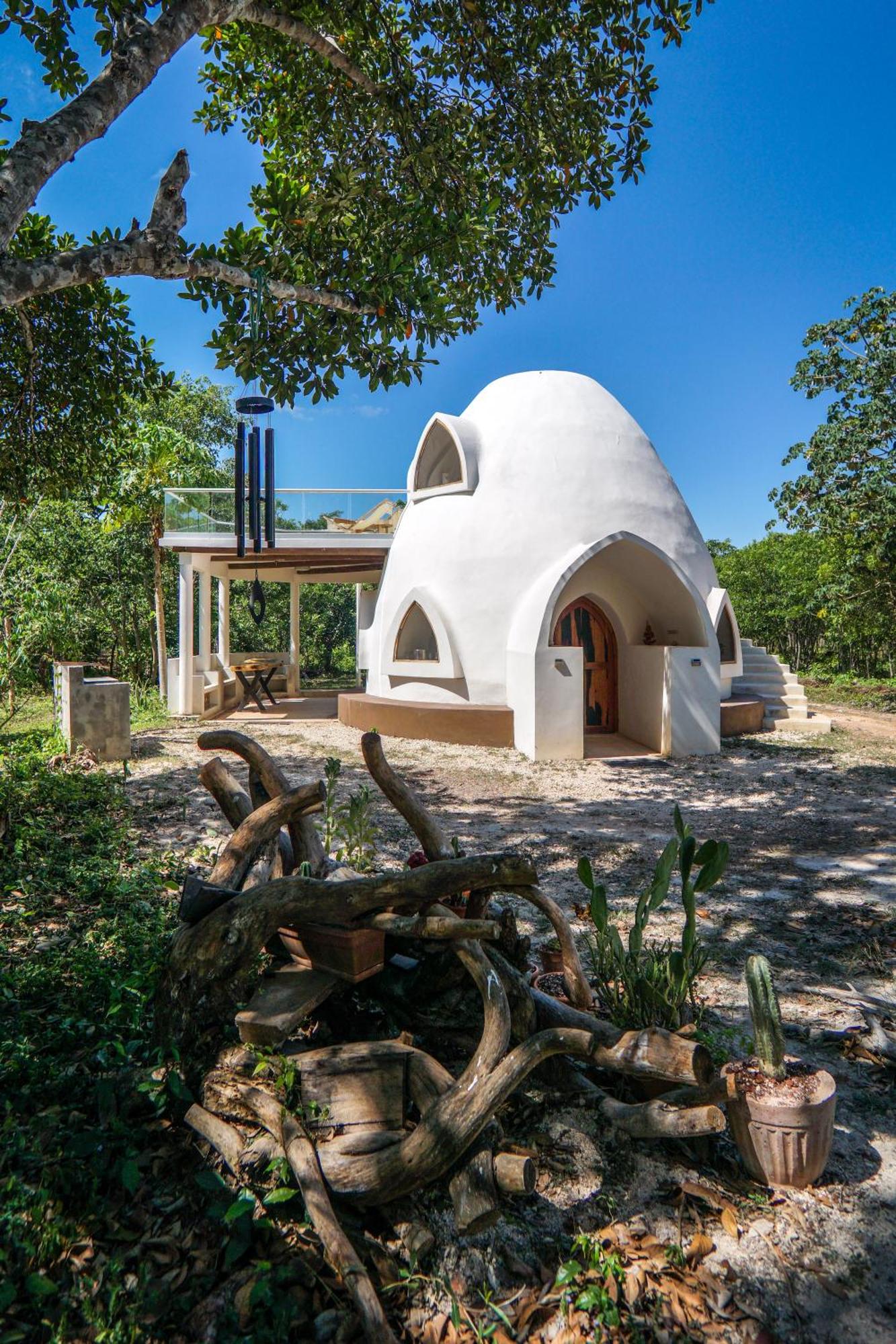 Dome @Jackfruit Jungle Paradise, imagen 2