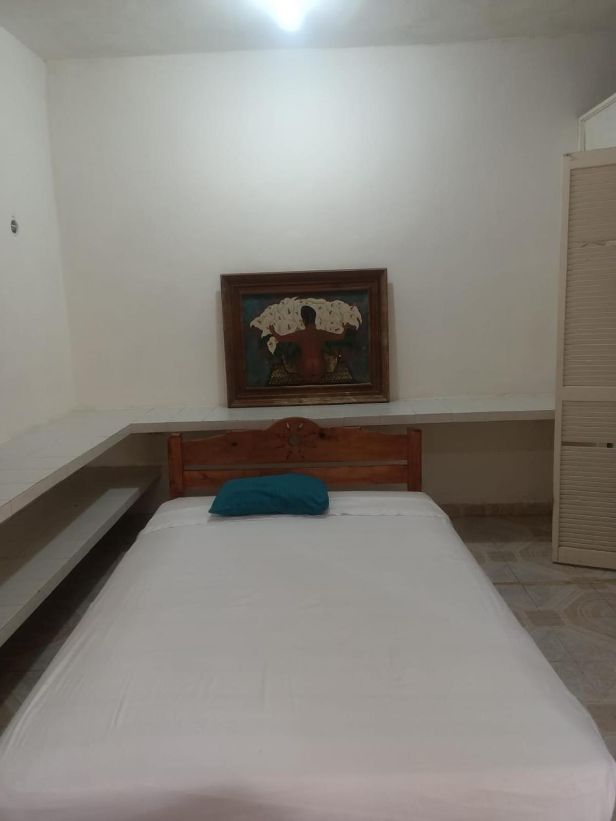 Faisan, imagen 2