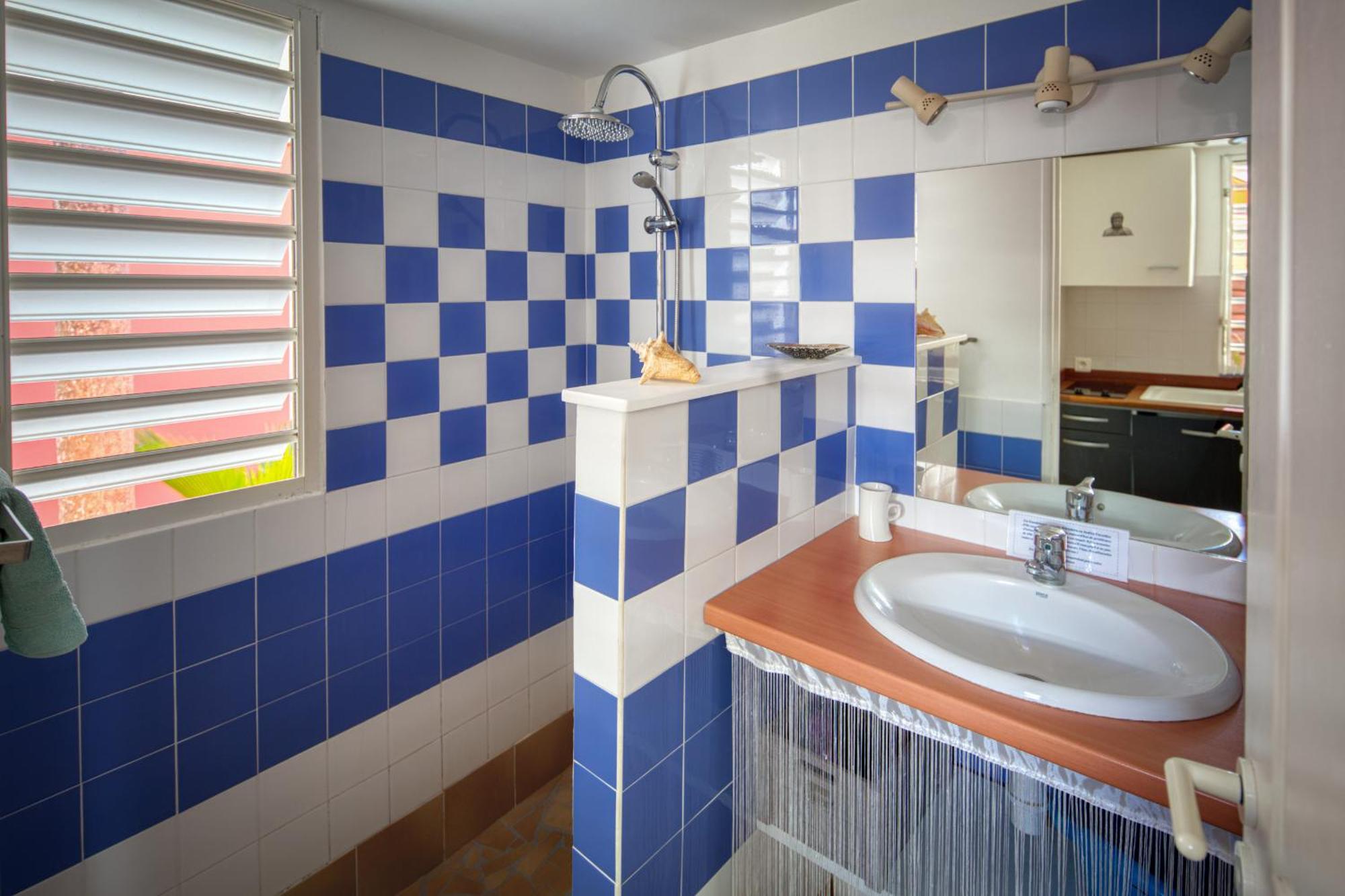 Villa Petite Terre à 50 mètres de la plage, foto 8