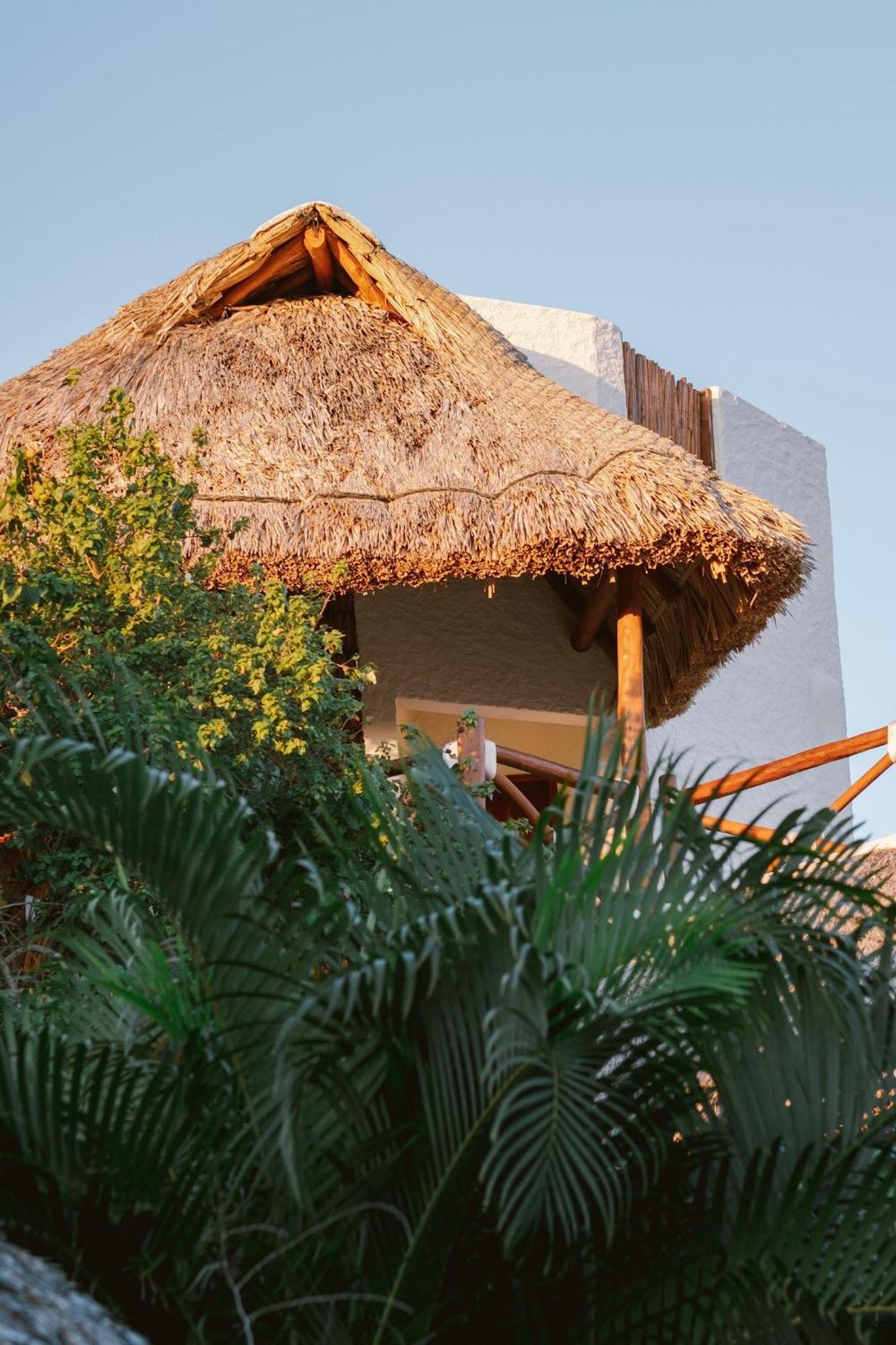 Casa Mech, foto 8