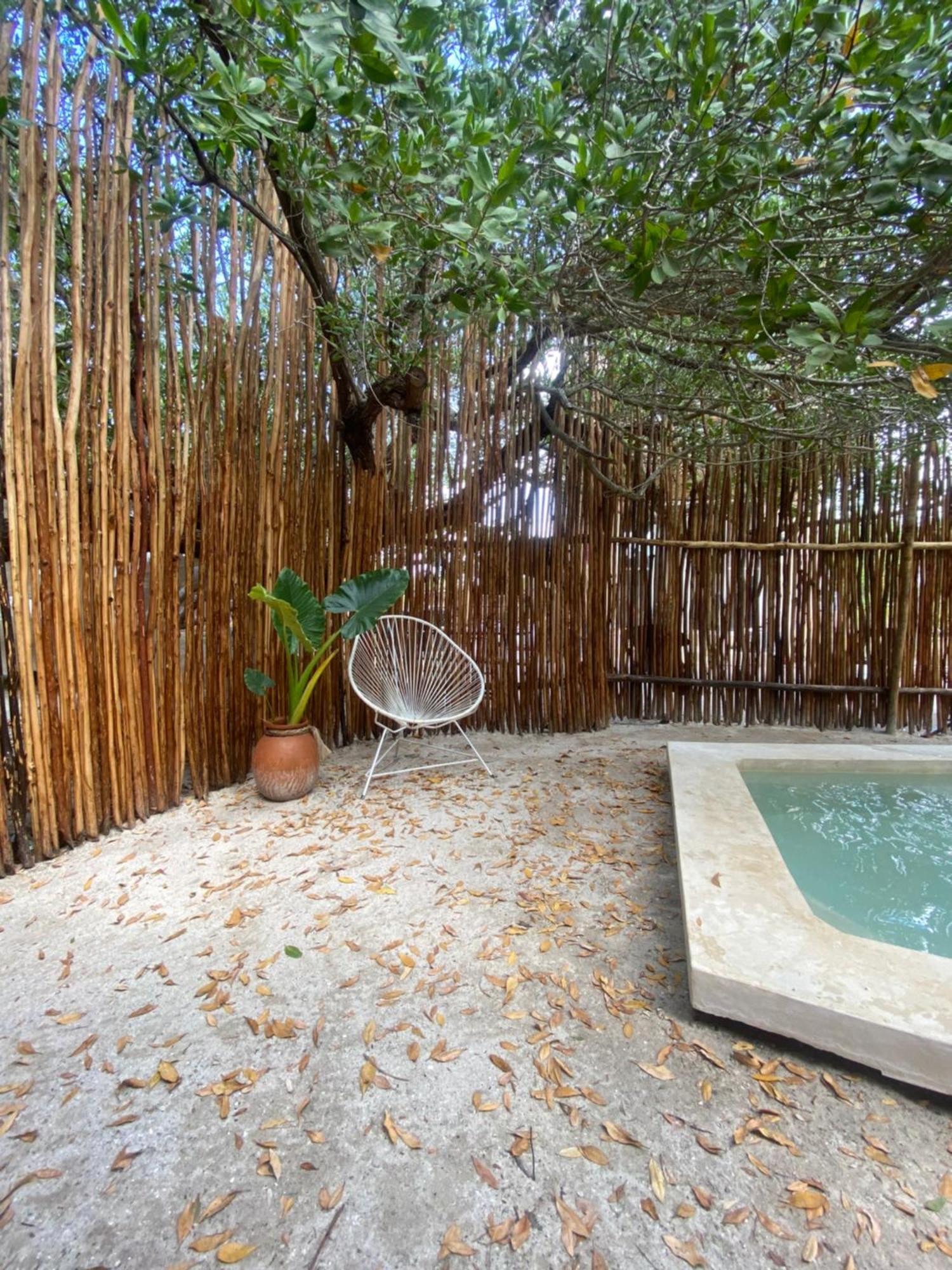 Eco Cabañas Laak, imagen 4