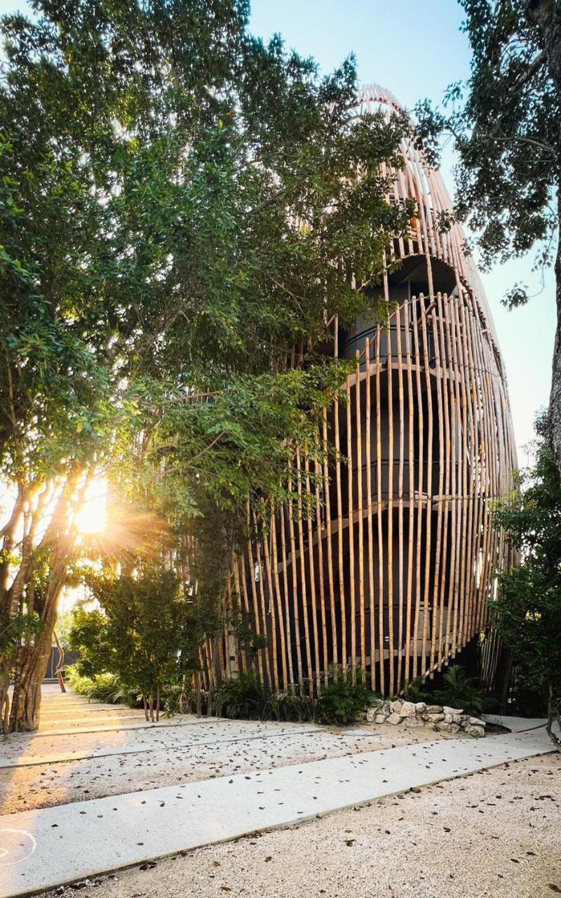 Living in the Noom by Andiani, foto 6