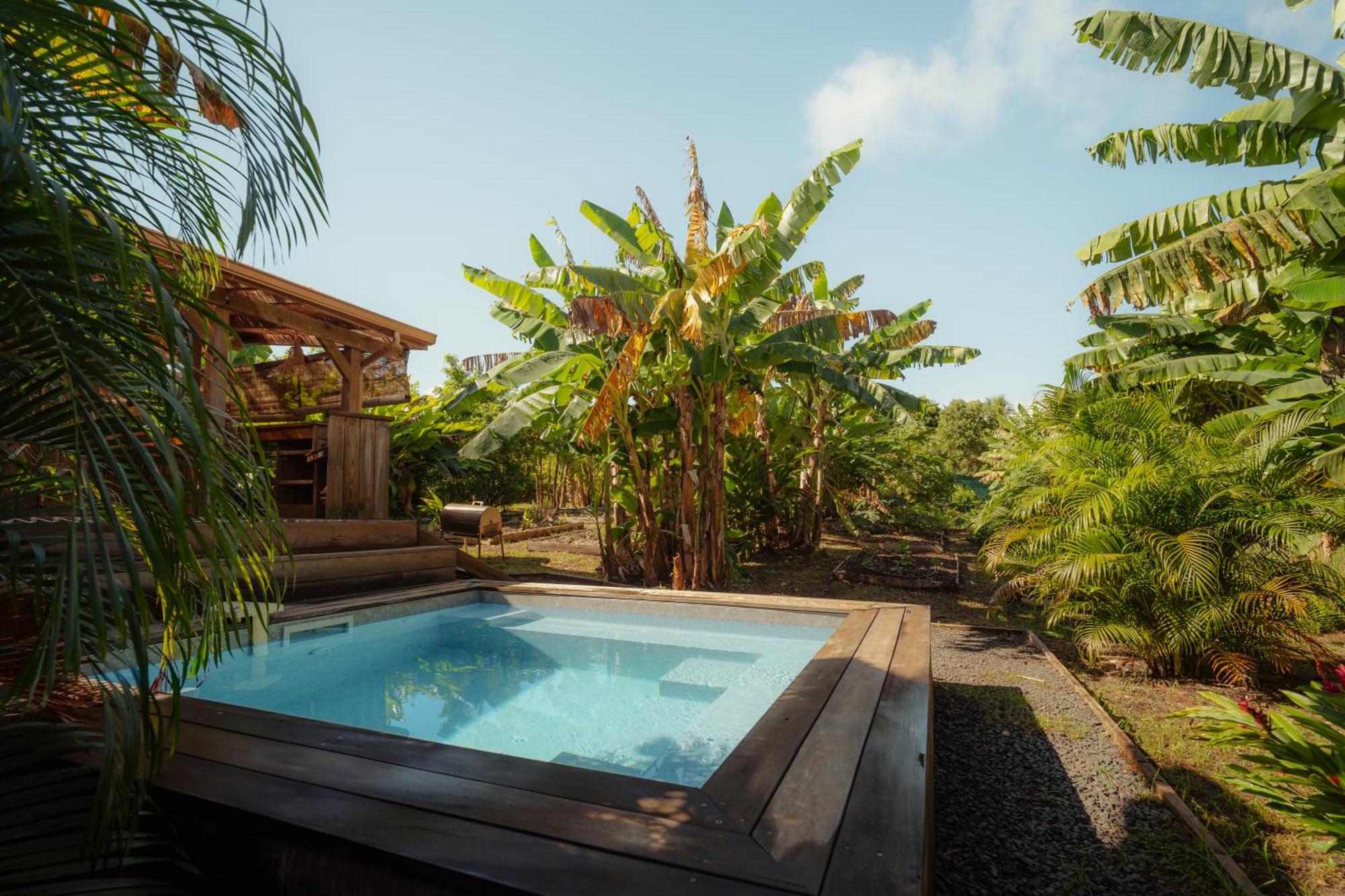 Anacardier Ecolodge, imagen 4