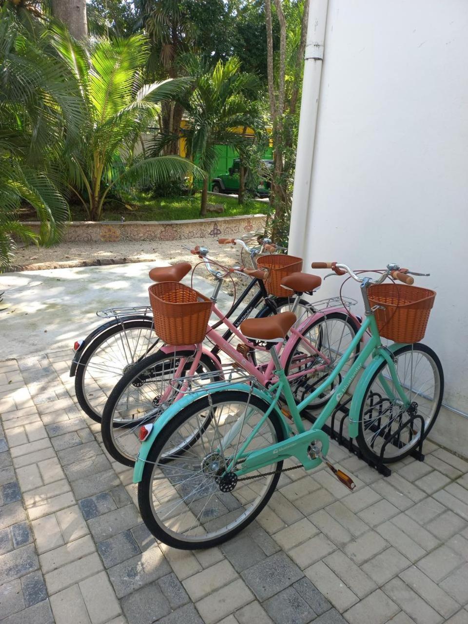 UrbanEden 'Another Day In Paradise', imagen 3