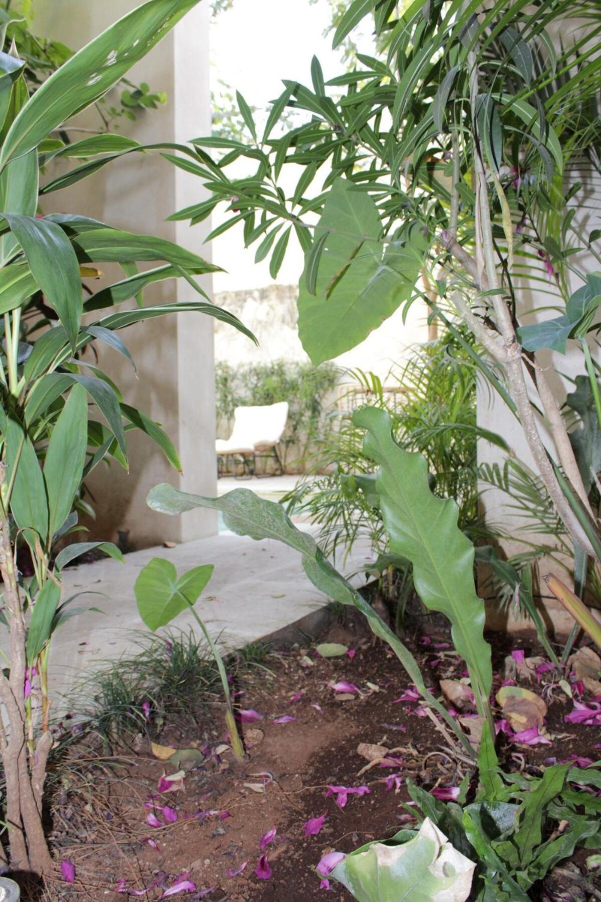 MAYAPAN Mérida HiSTORIC CENTER, foto 12