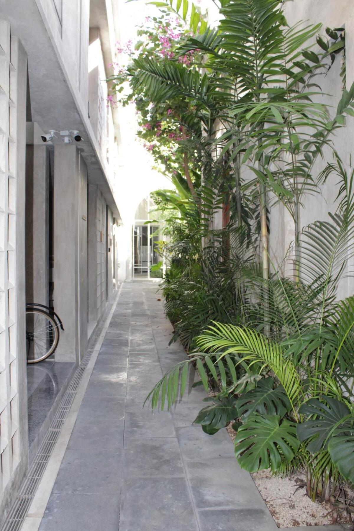 MAYAPAN Mérida HiSTORIC CENTER, foto 14