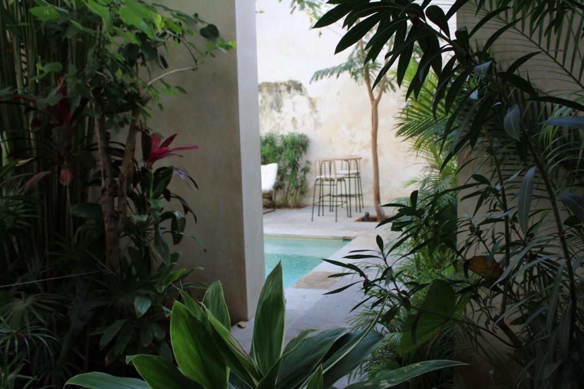 MAYAPAN Mérida HiSTORIC CENTER, foto 15