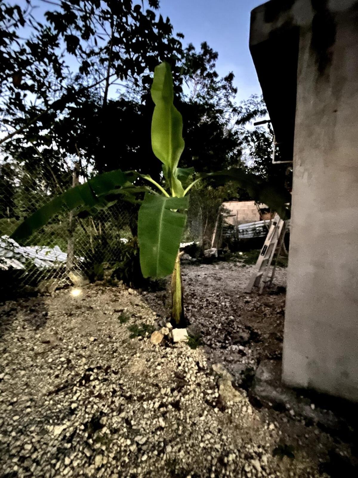 Linda casa privada en la naturaleza de Tulum!!!, foto 16