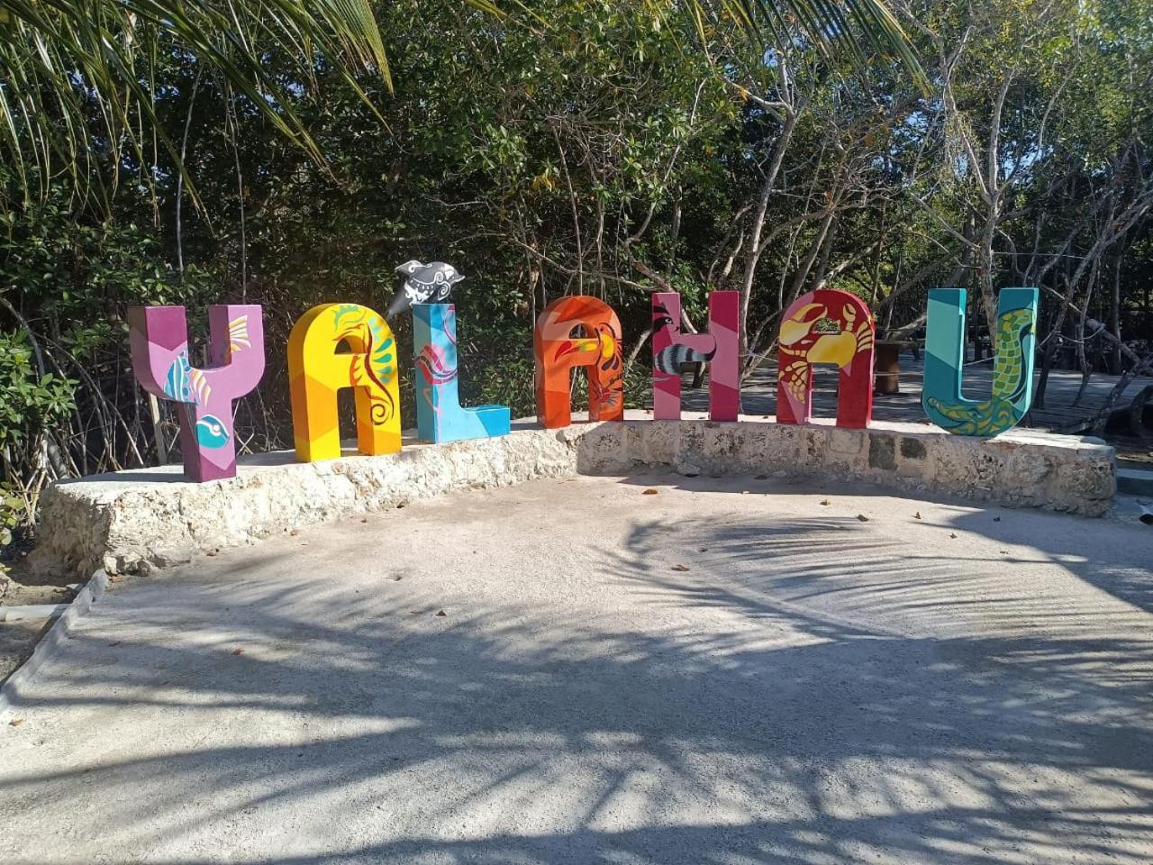 Mi habitat holbox-Maravilla natural, foto 12