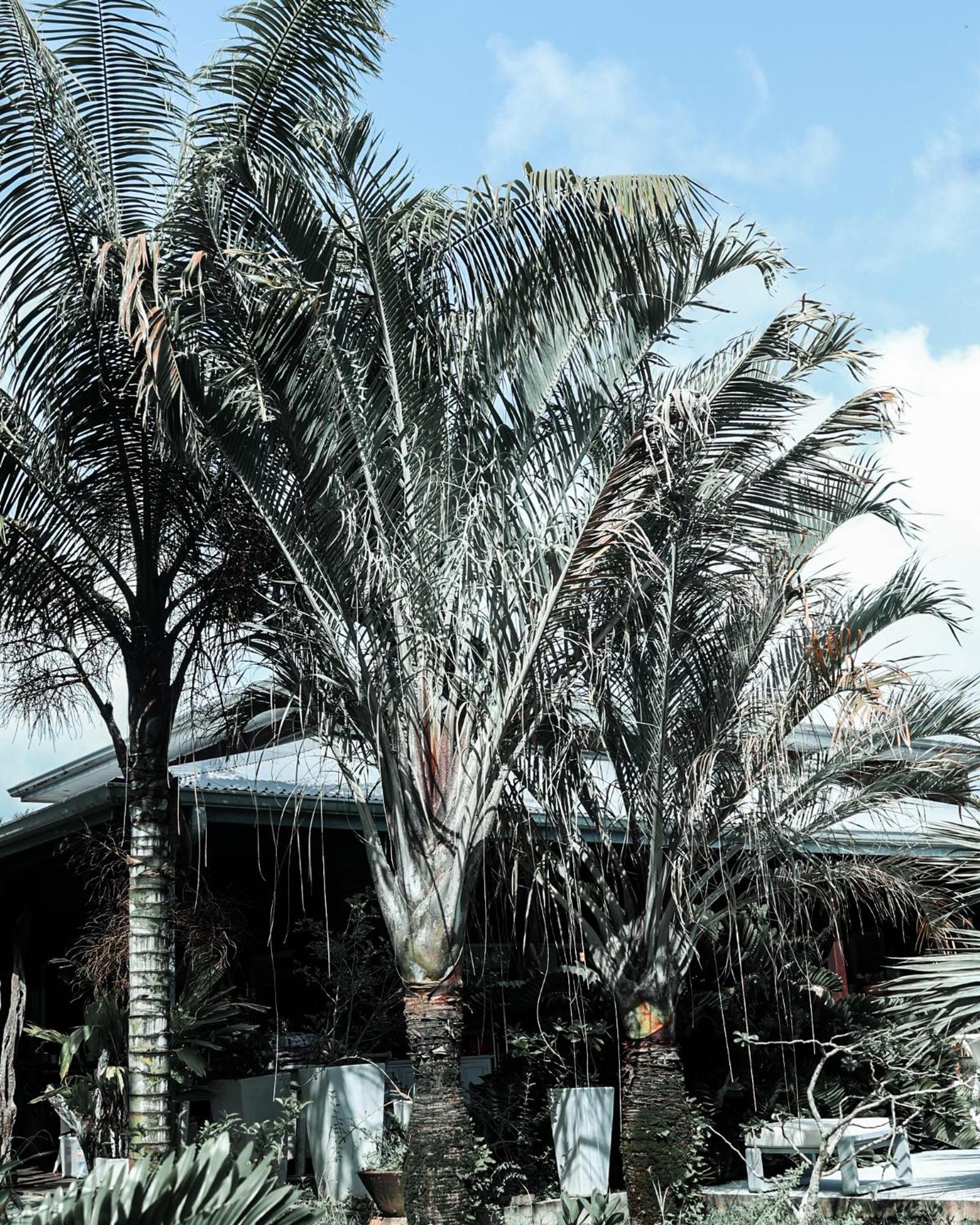 Le Baobab Rouge - Maison d'hôtes réservée aux femmes, foto 7