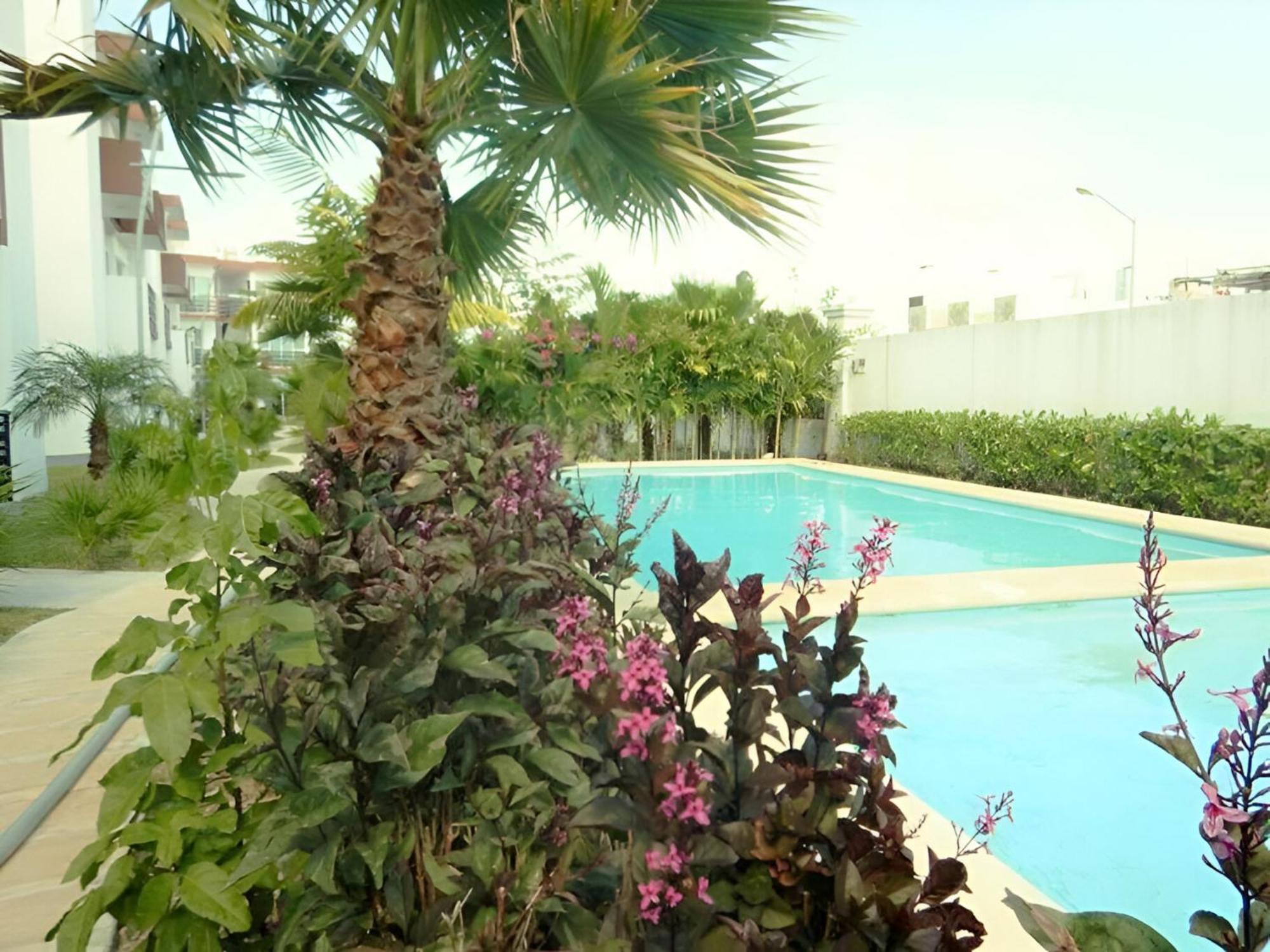 Playa Zen, imagen 3