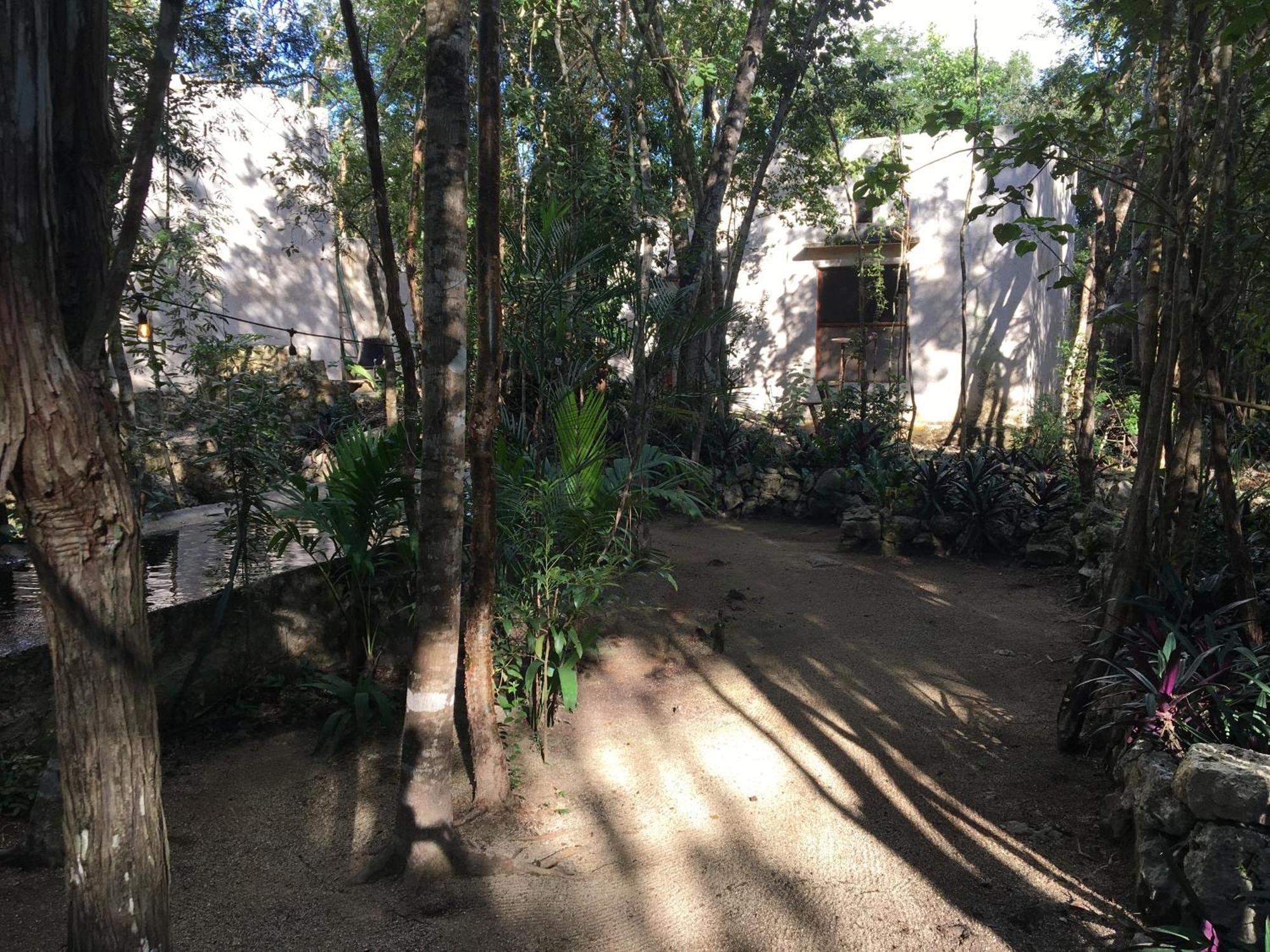 barefoot jungle studios, foto 9