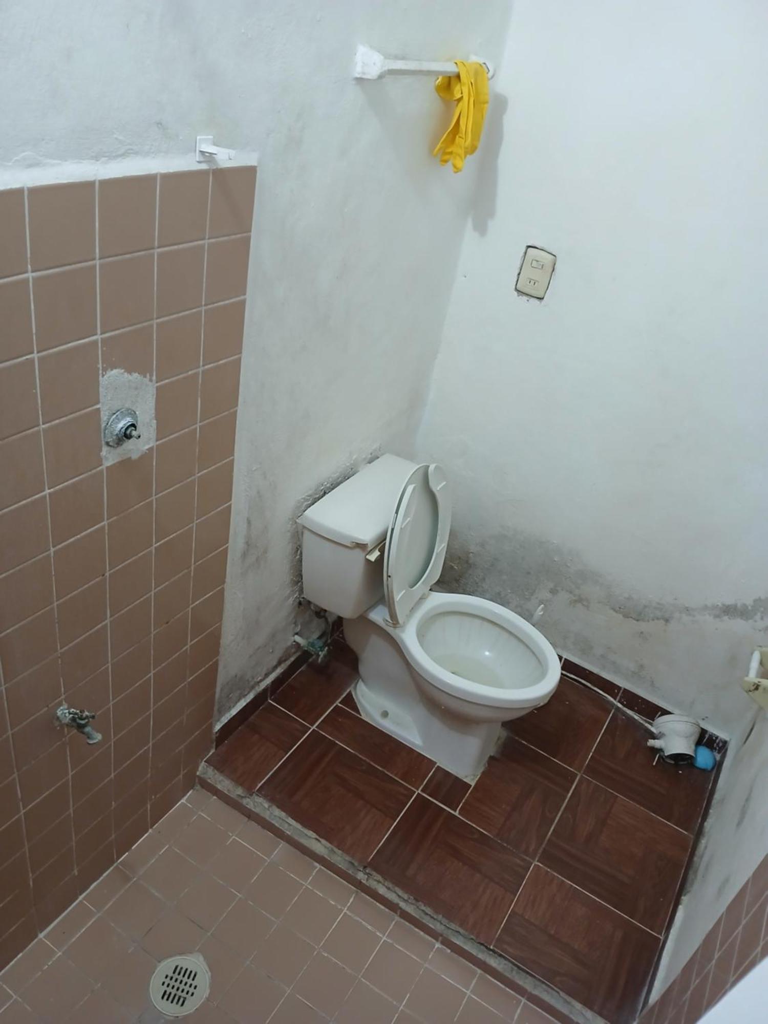 Rhinos House, imagen 5