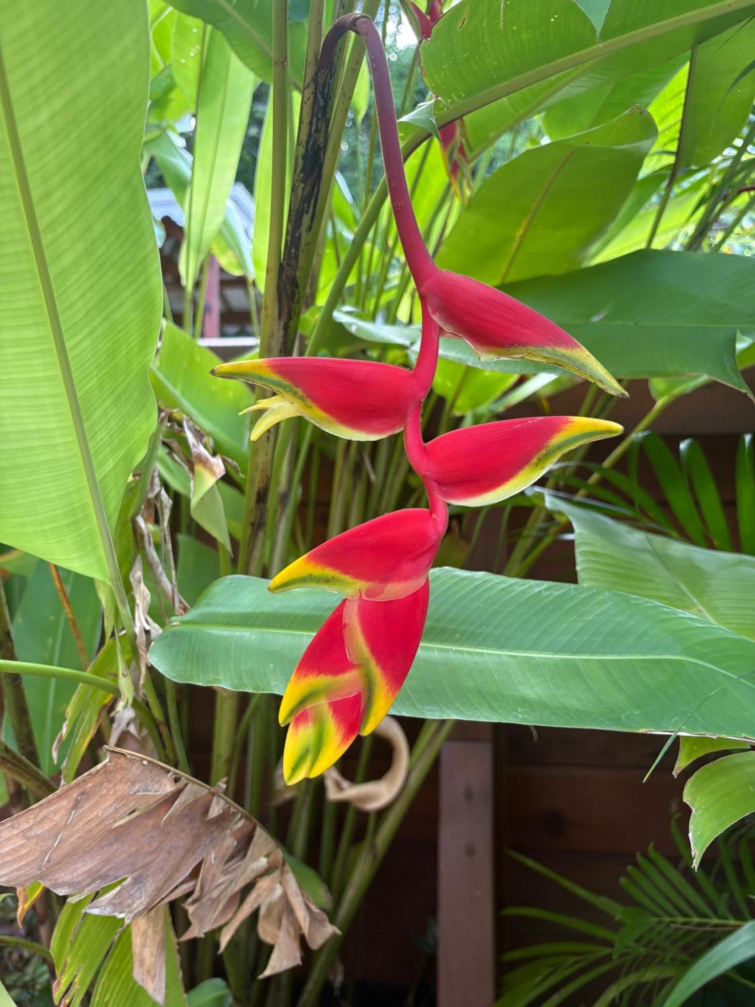 Villa Mamalouken : App Léonie, foto 6