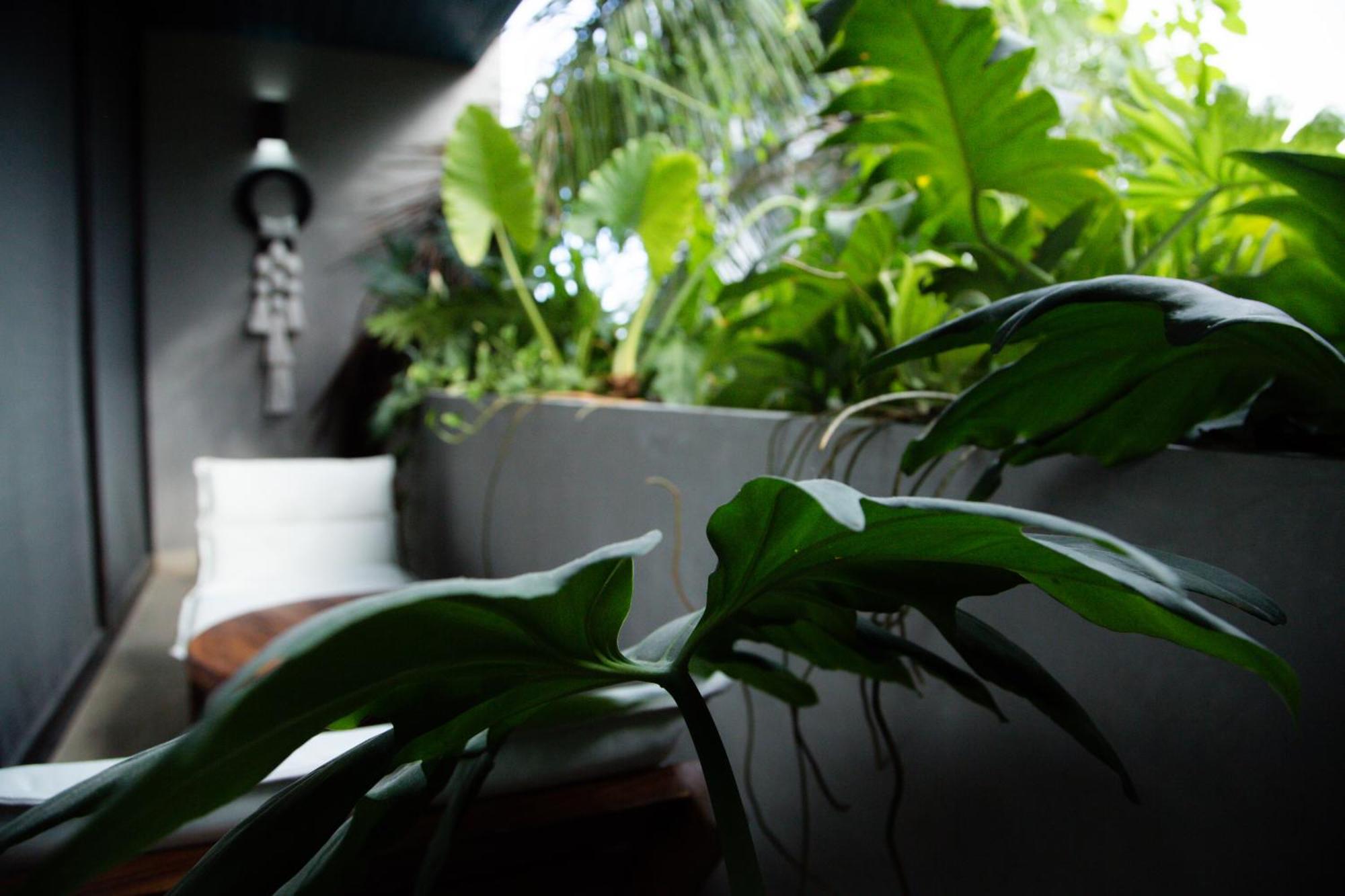 Mayan Paradise Loft, imagen 2