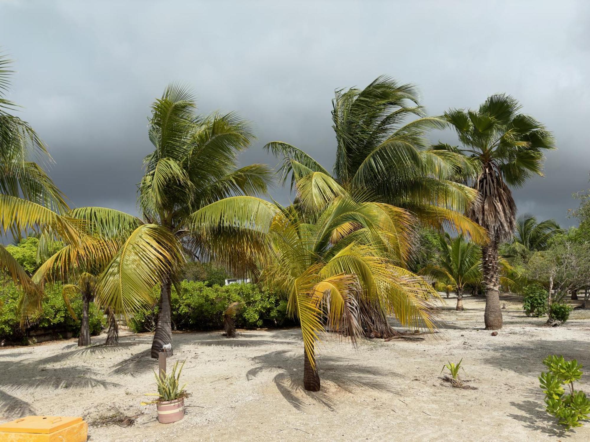 Beachfront department Celestun, foto 14