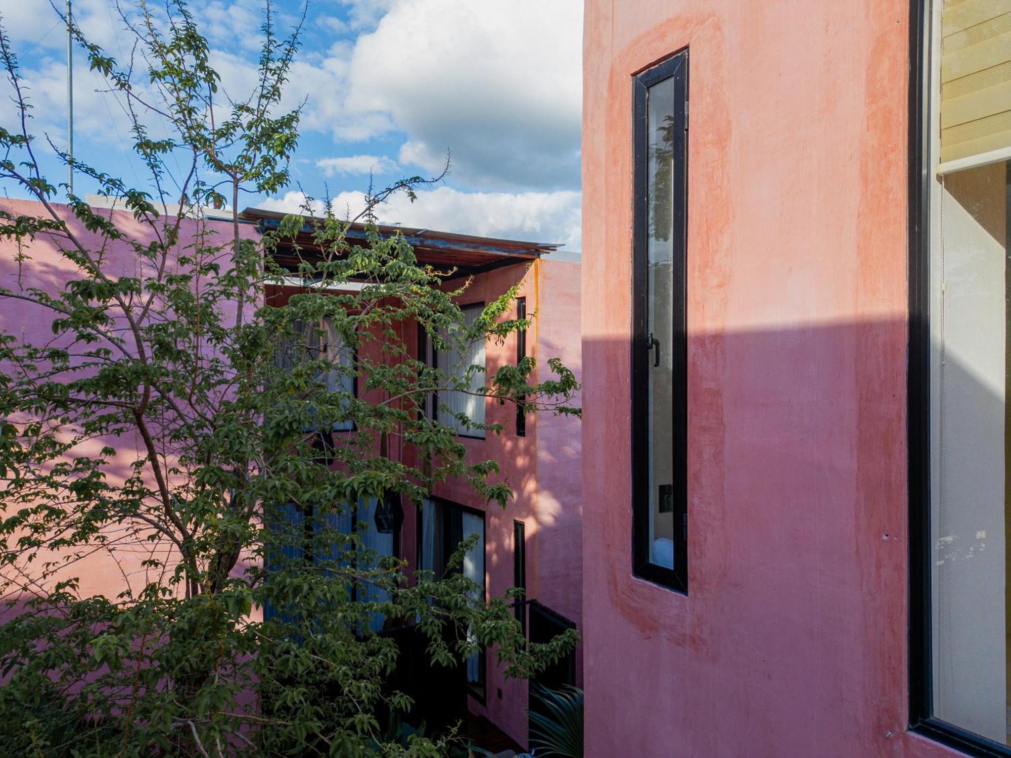 Casa Rosa, foto 13