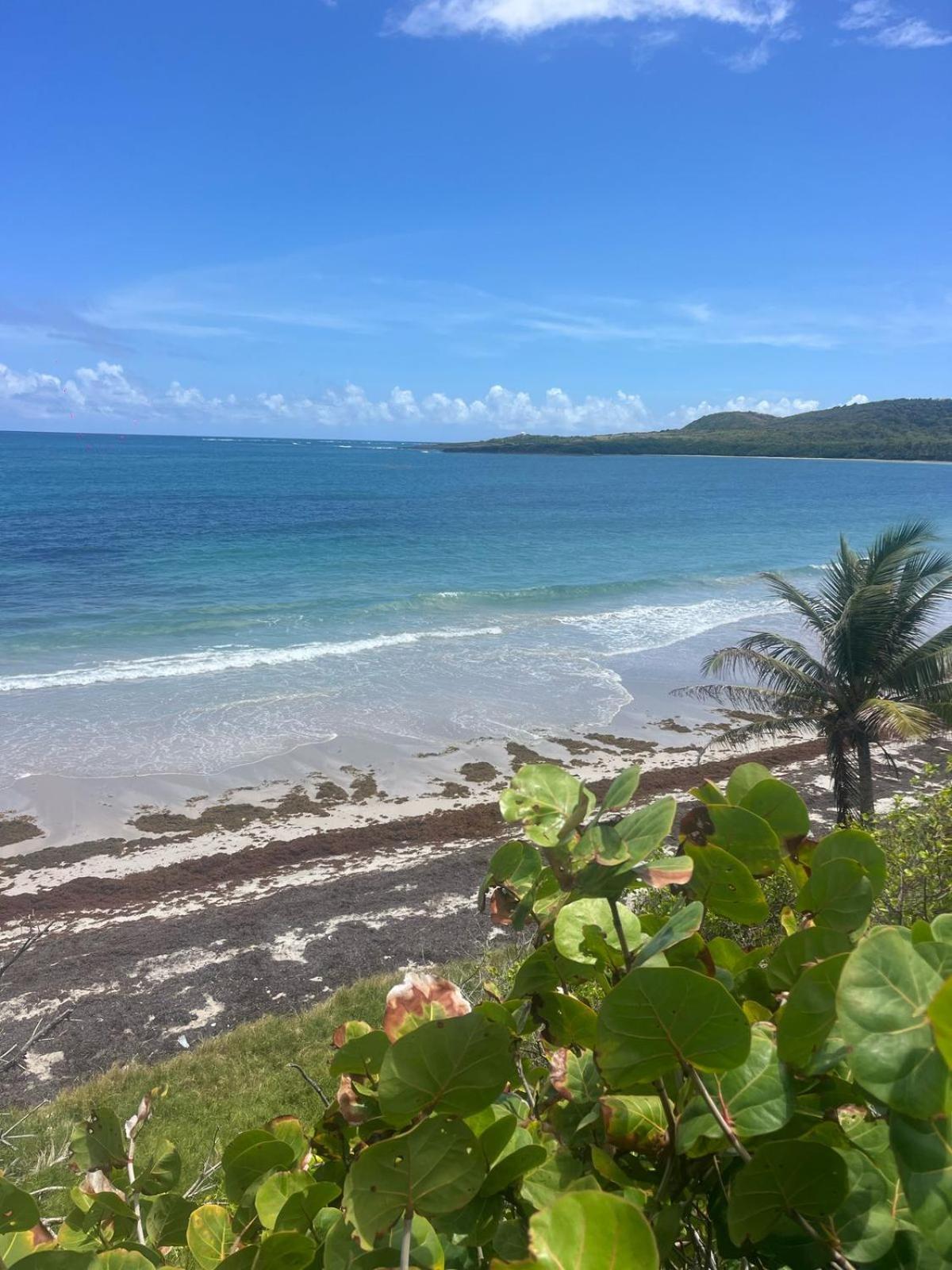 Kaz Corail Villa exceptionnelle, imagen 2