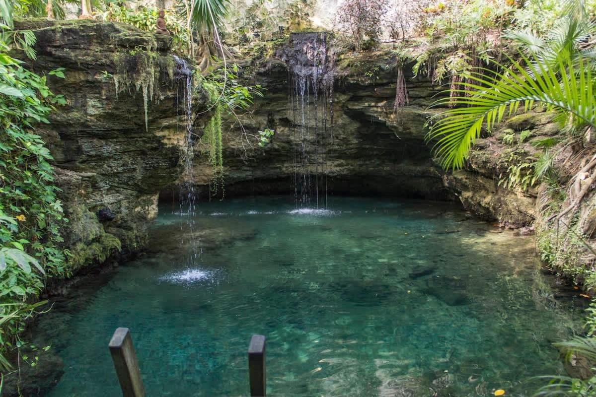 Tropical Oasis with Cenote & Pool Walk to Beach, foto 6