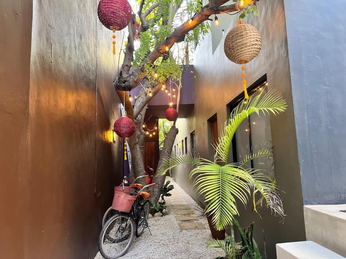Downtown Tulum Cozy 1bd Apartment, foto 6