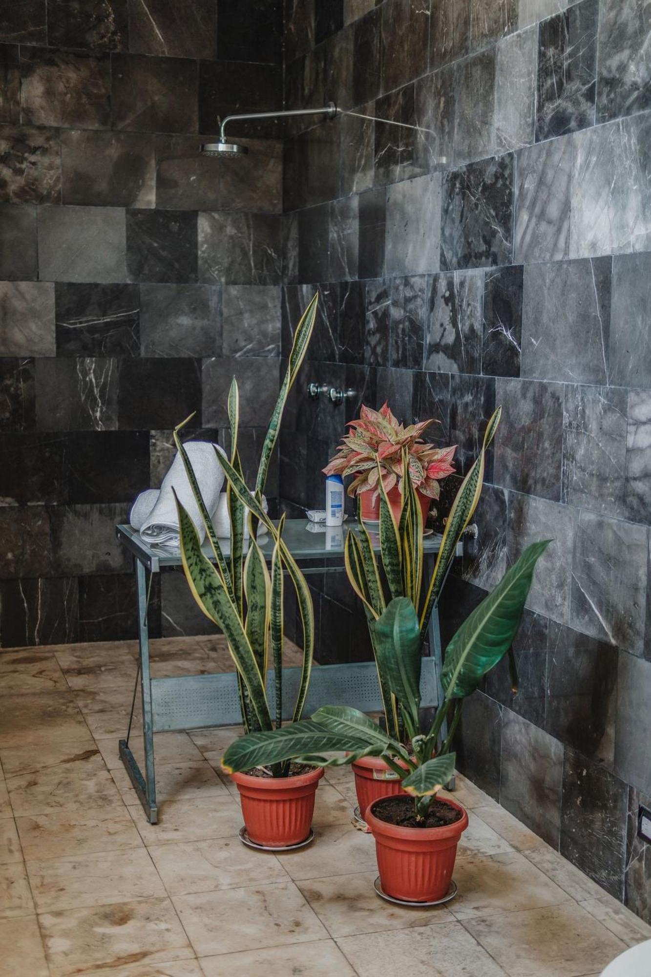 Amplia Habitación Privada Centro, foto 16