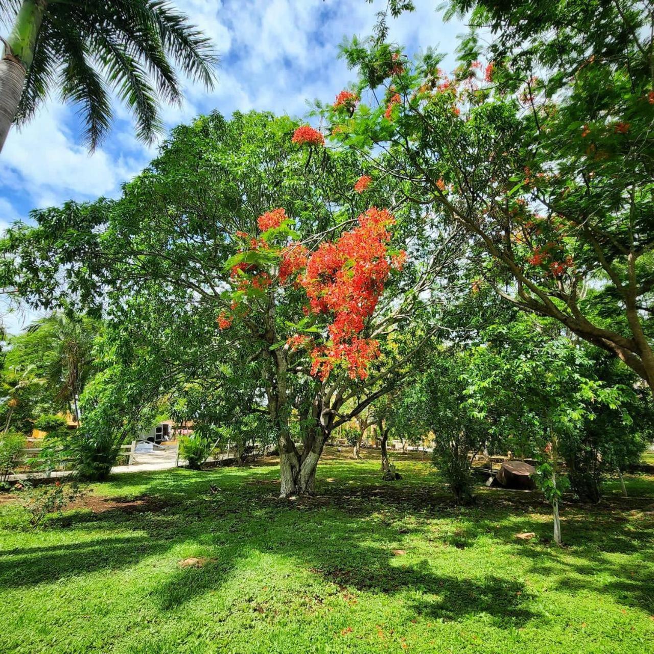 Hacienda San Antonio, foto 6