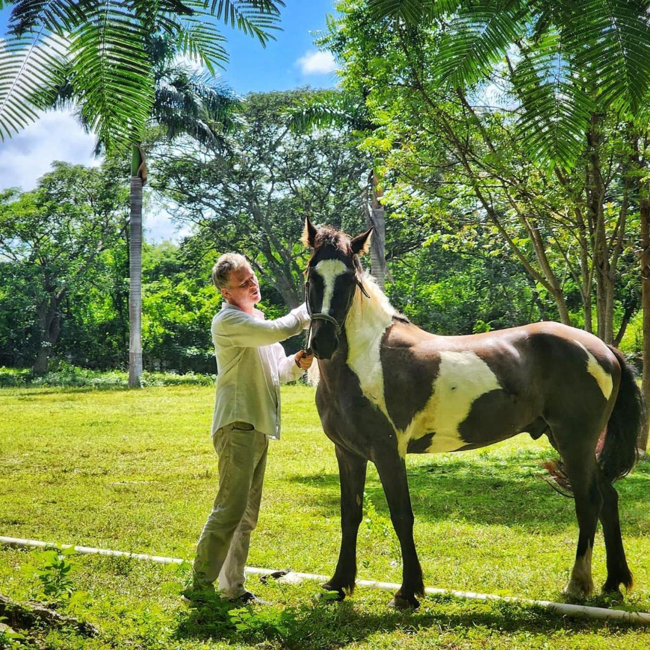 Hacienda San Antonio, imagen 4