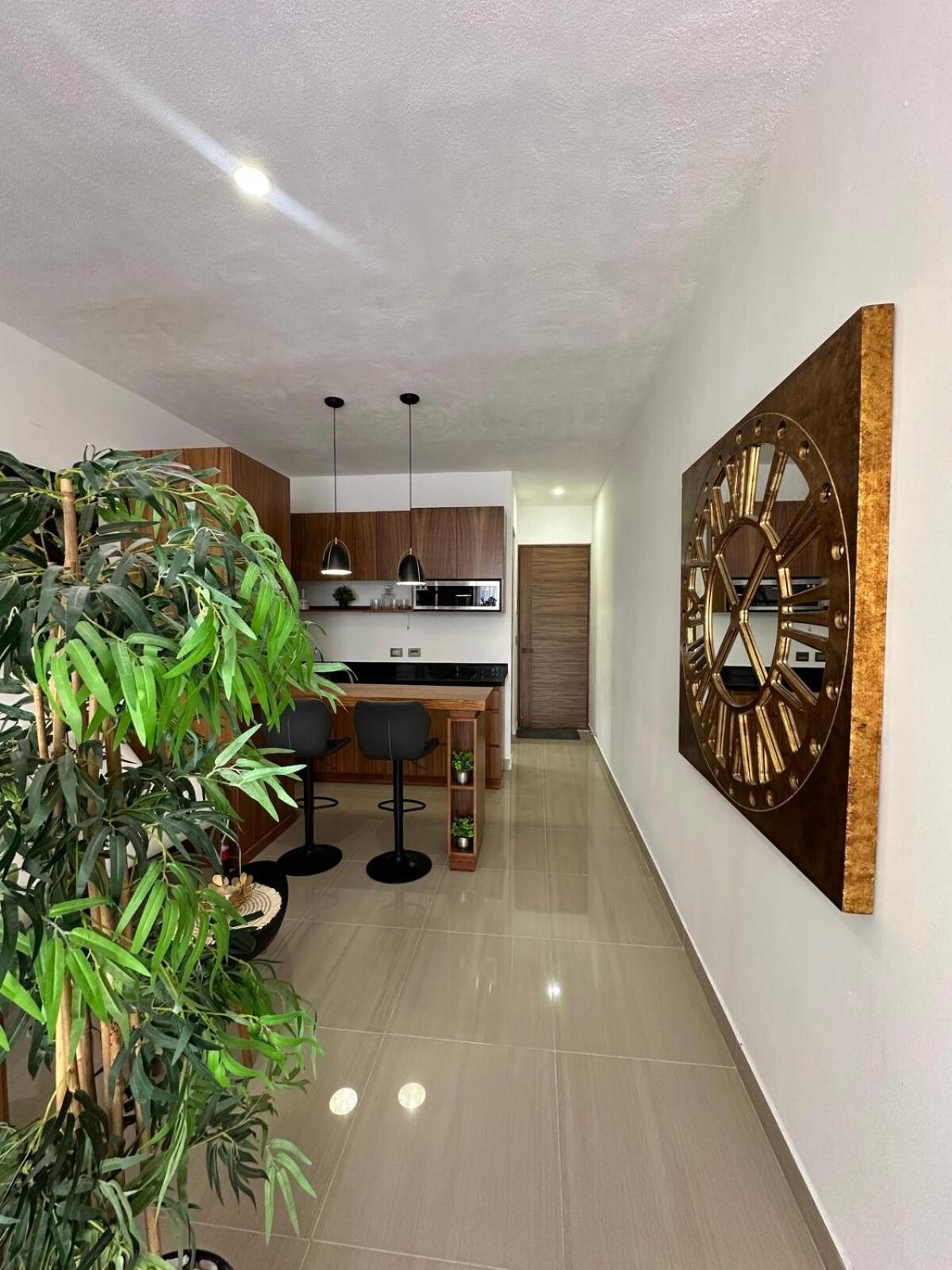 Departamento de Lujo, imagen 4