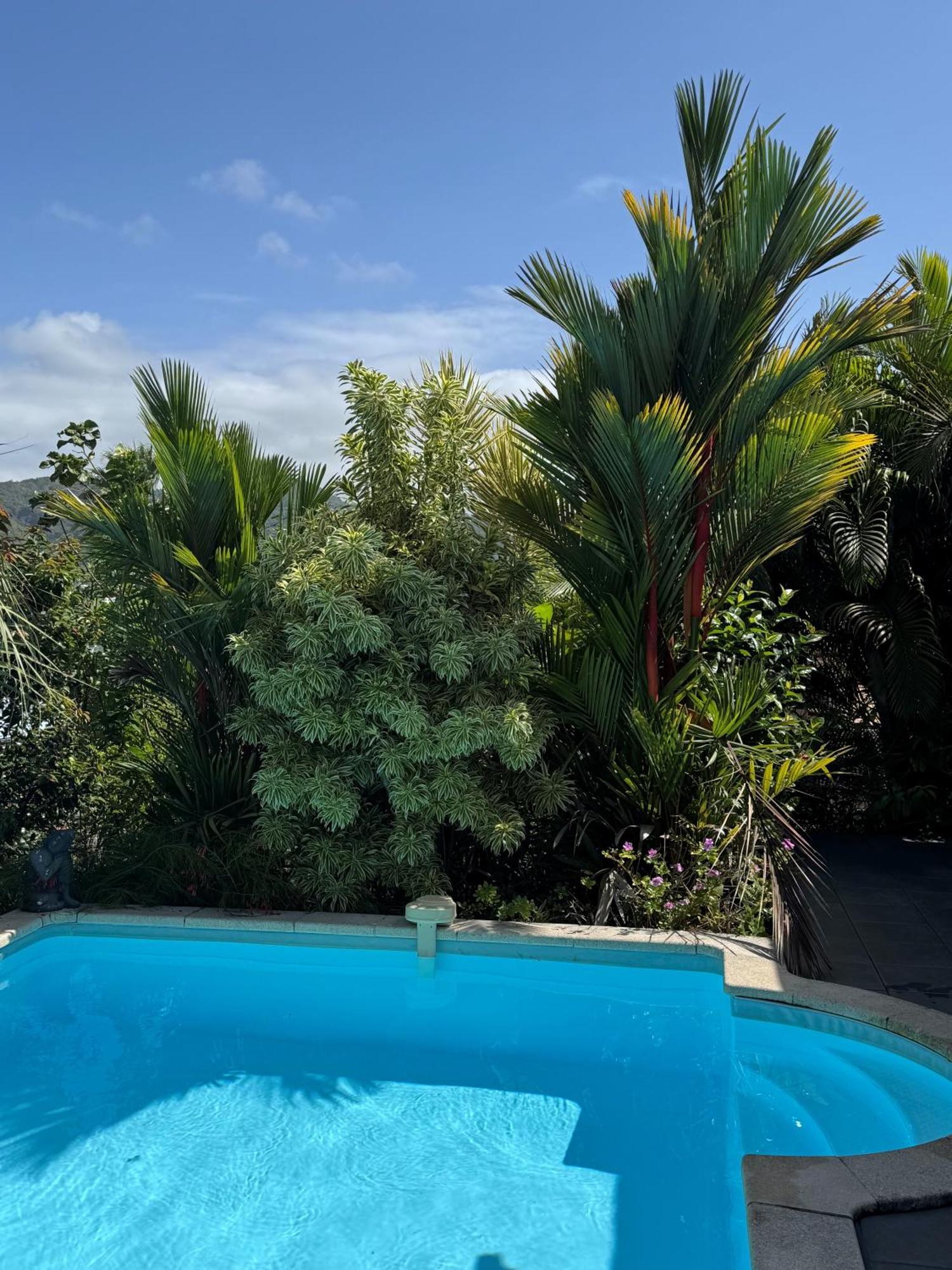 Villa Kezia - Le Marin - Martinique, foto 6