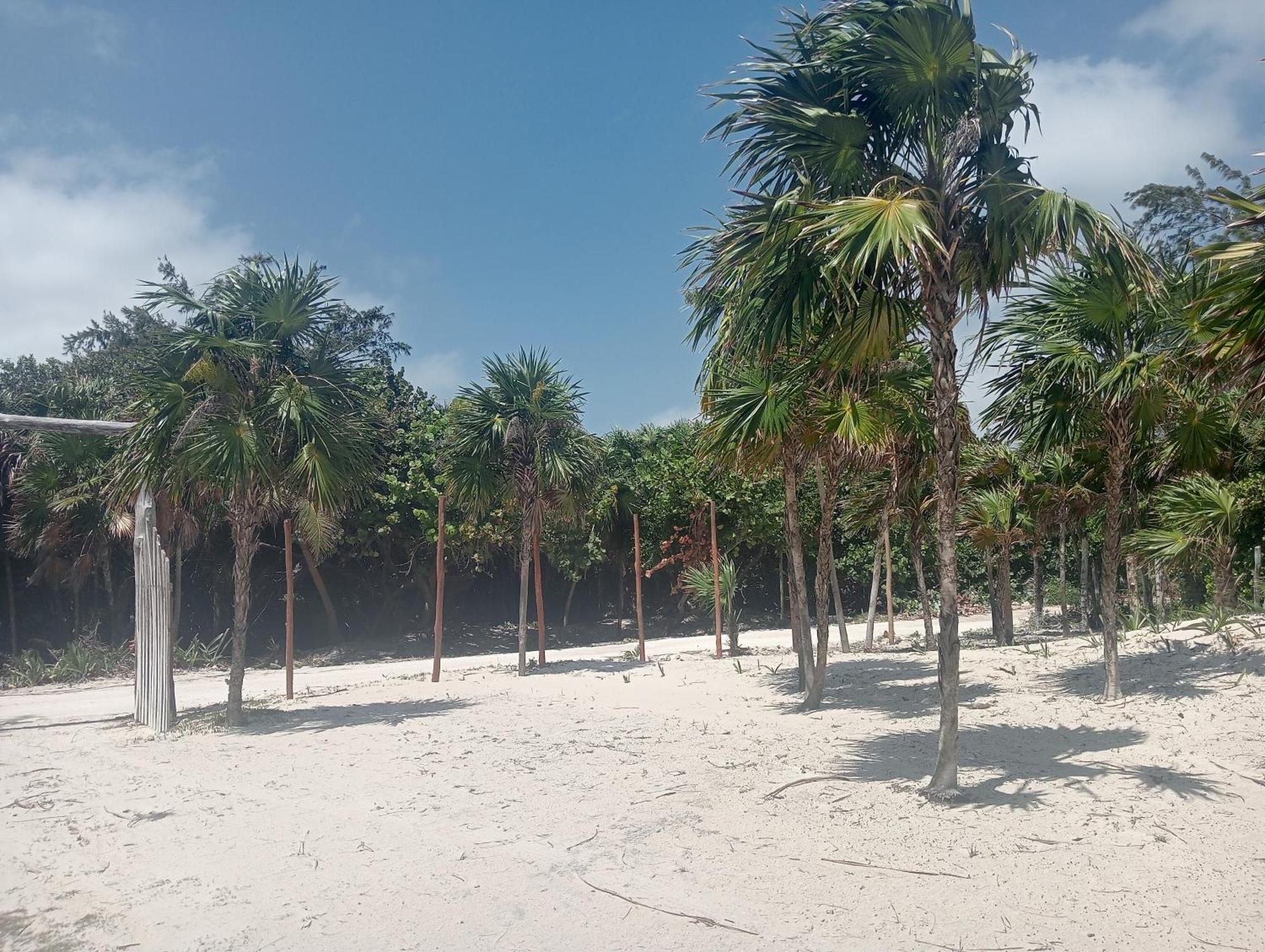 La cabaña del pescador, foto 13
