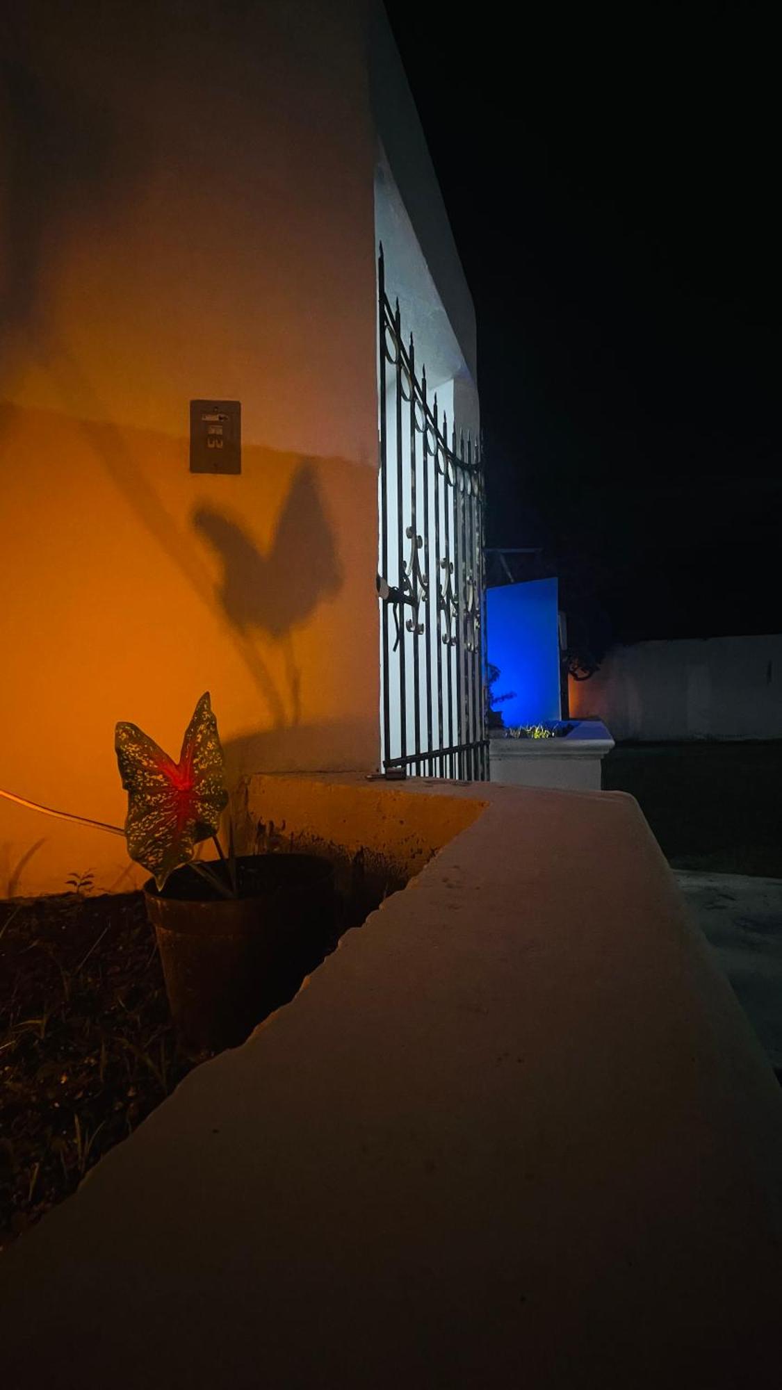 Casa Quintana, foto 15