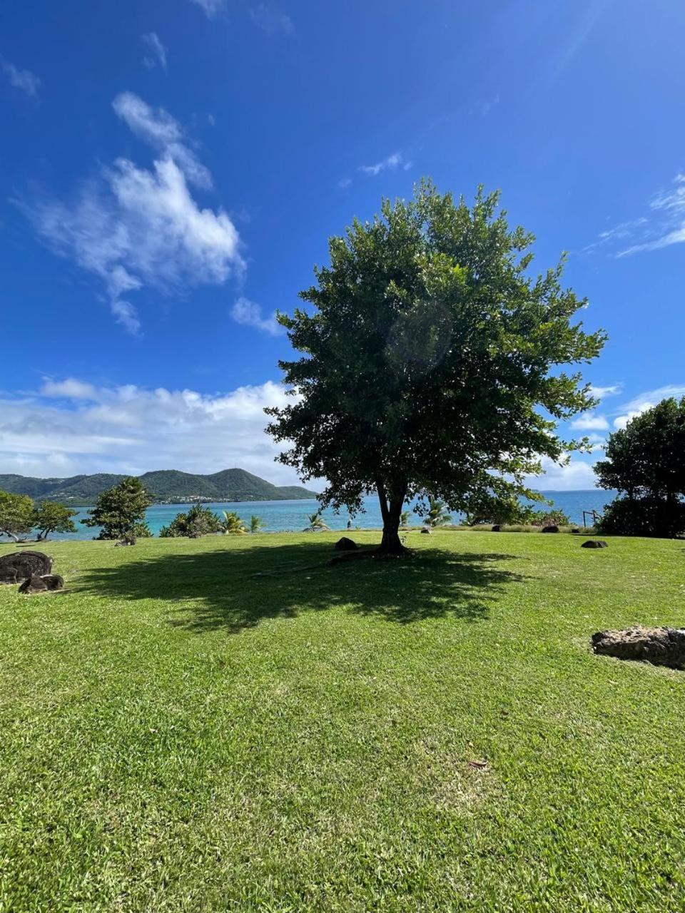 Beachfront studio972, foto 13