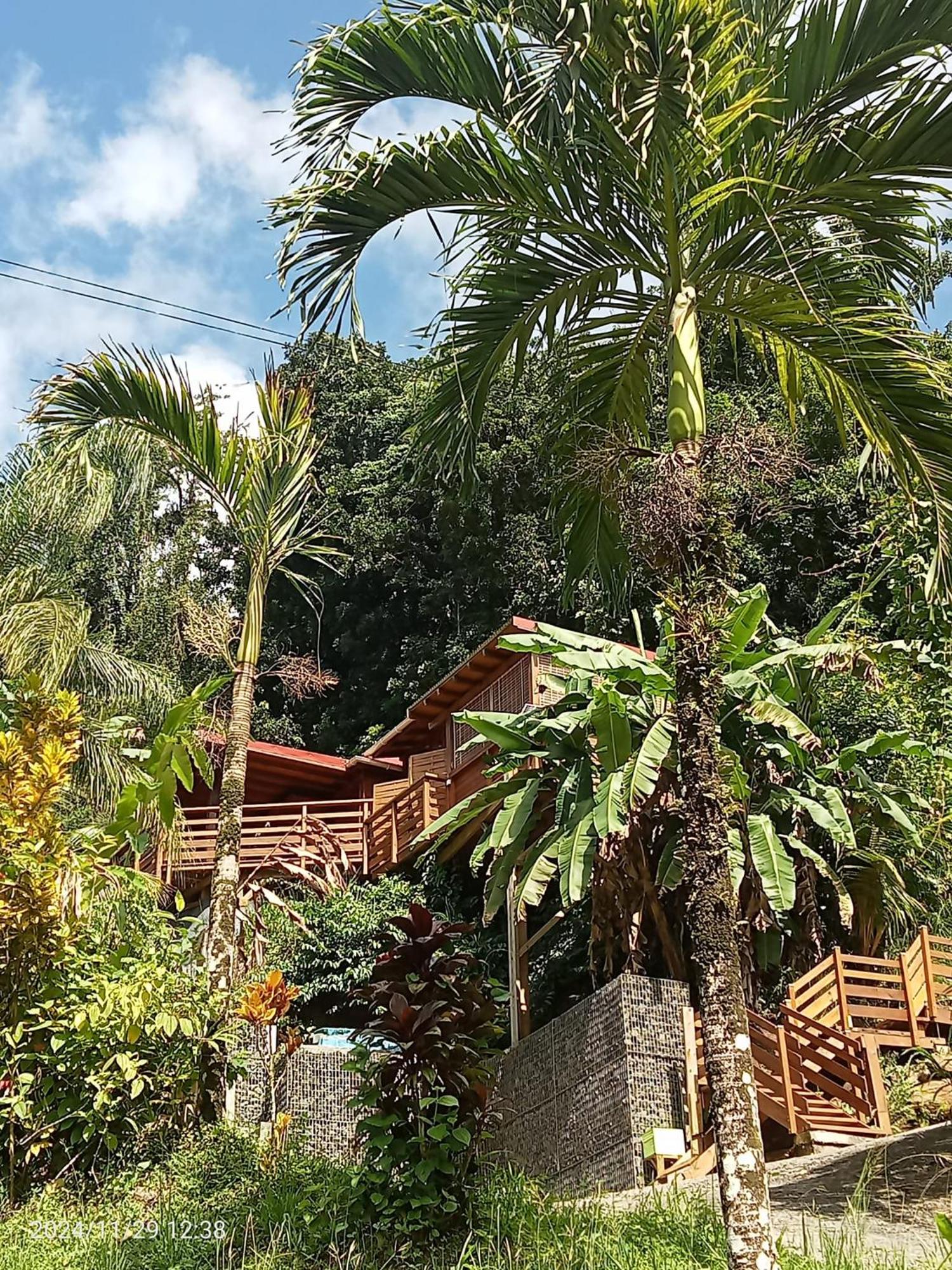 Domaine de Ti Coin, imagen 5