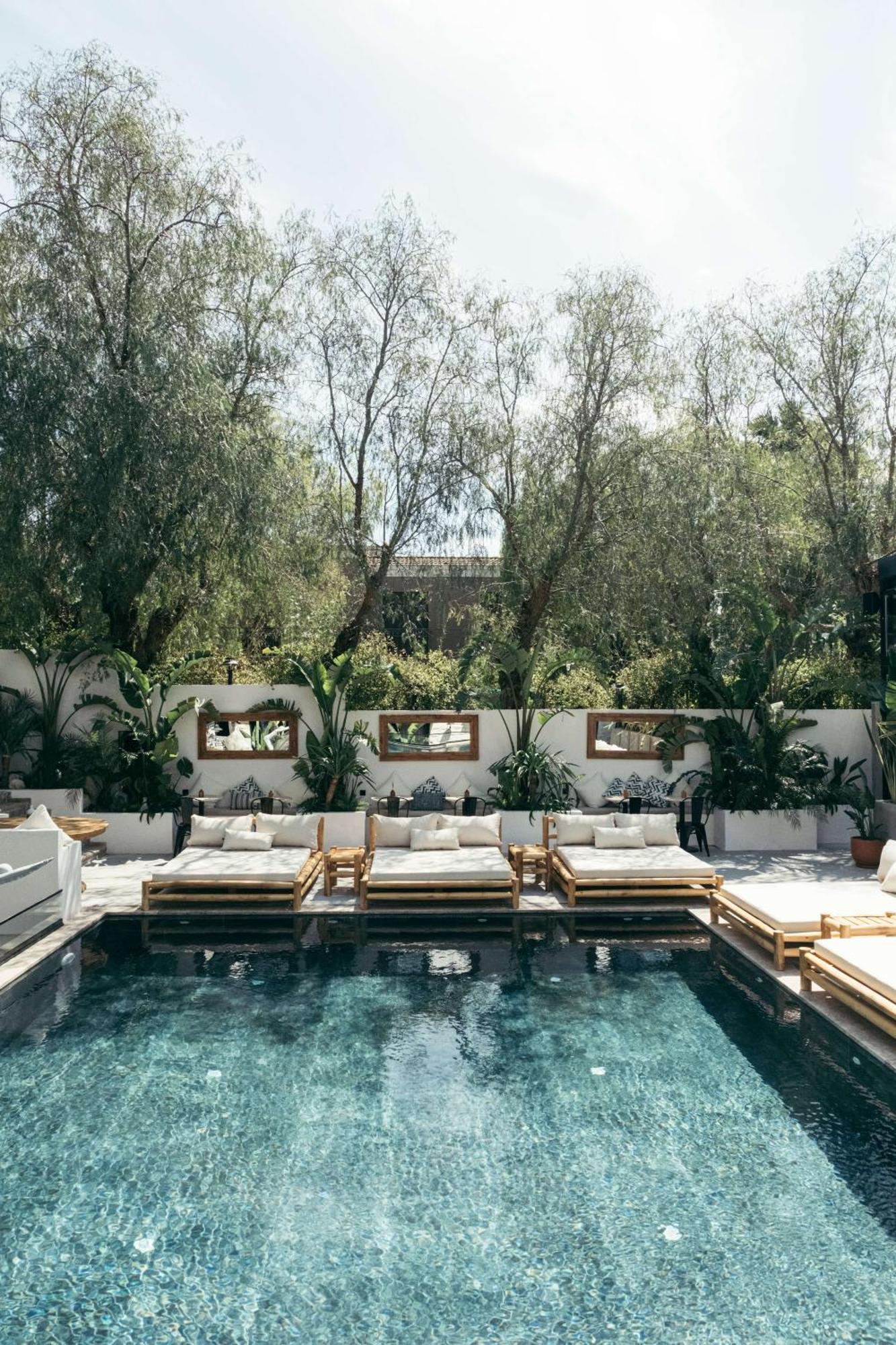 Primus Nefes Adult Only