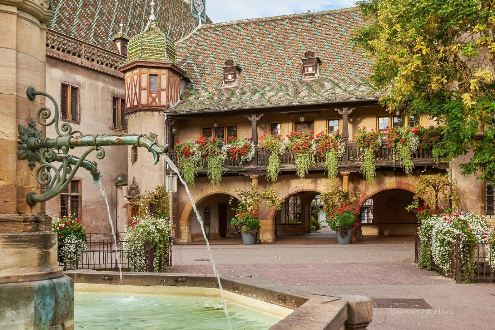 L'ambassadeur - Colmar centre — photo 5