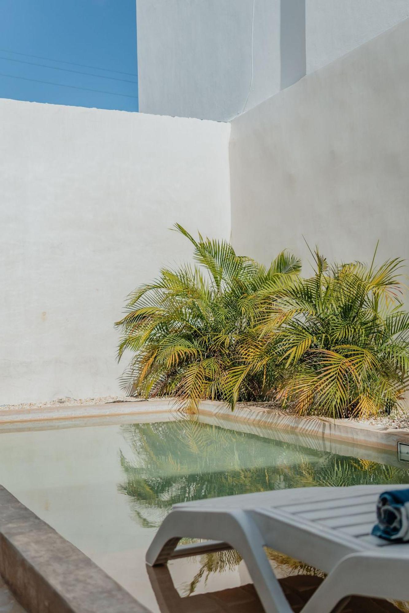 Casa Mara 53 Luxury House in downtown Mérida, imagen 4