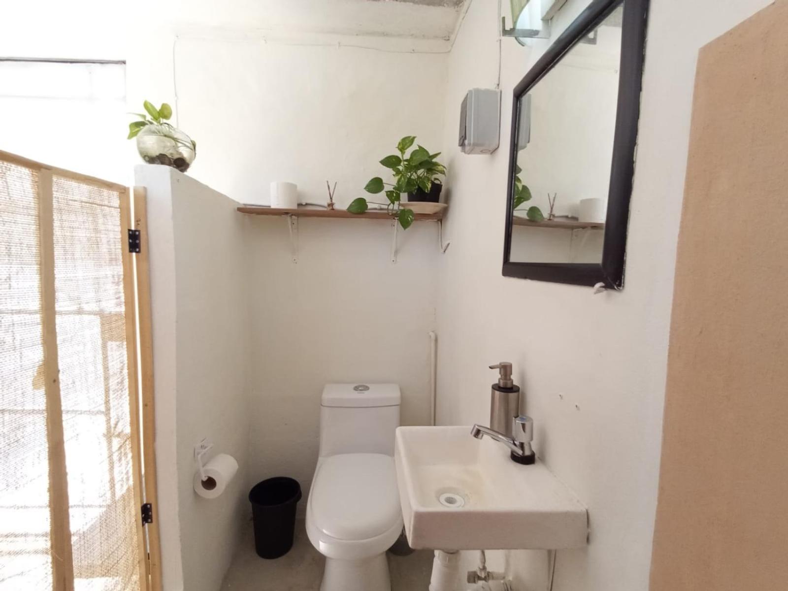 Casa Ha Hostal, imagen 2