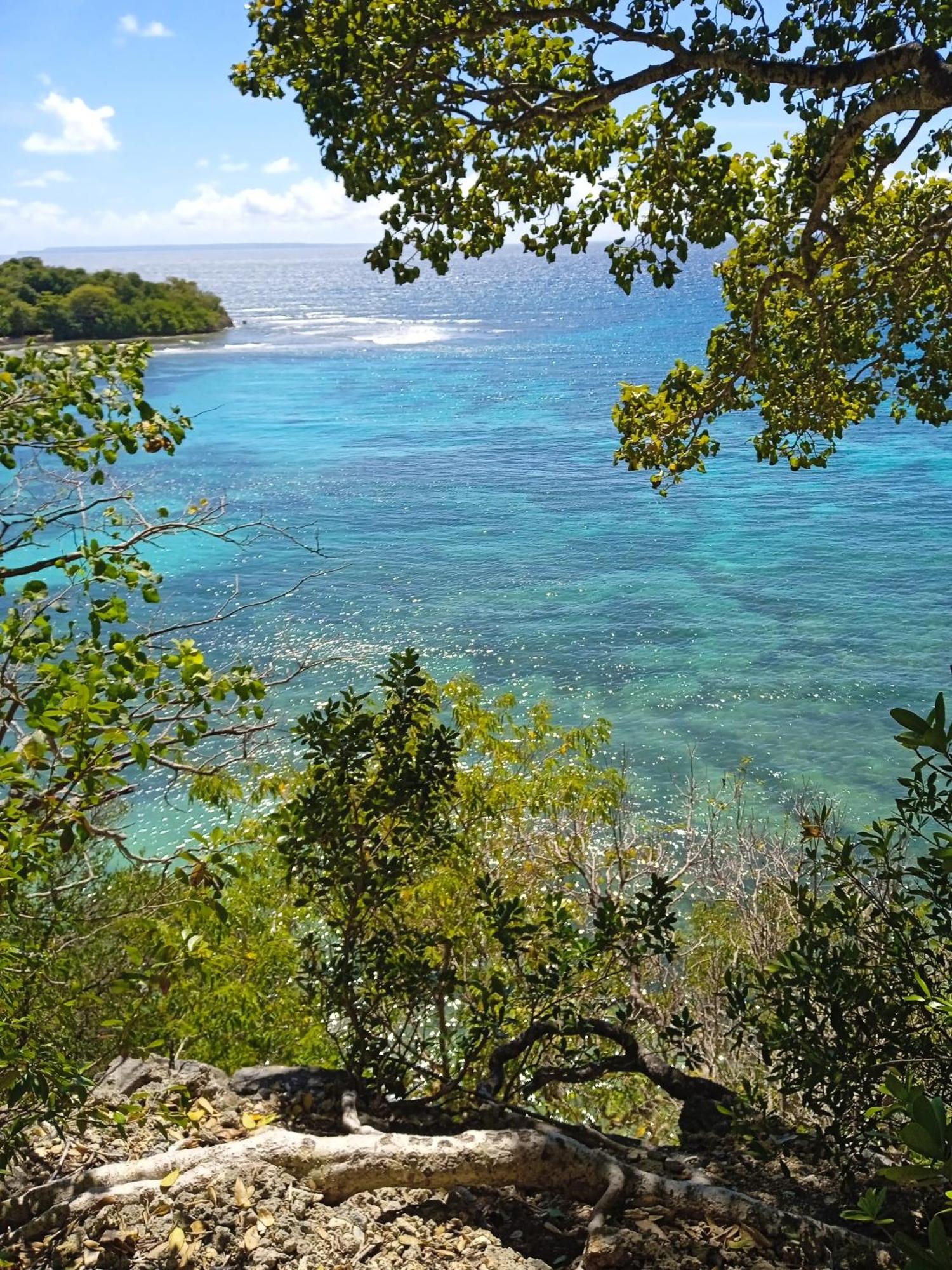 Le Manguier, foto 9