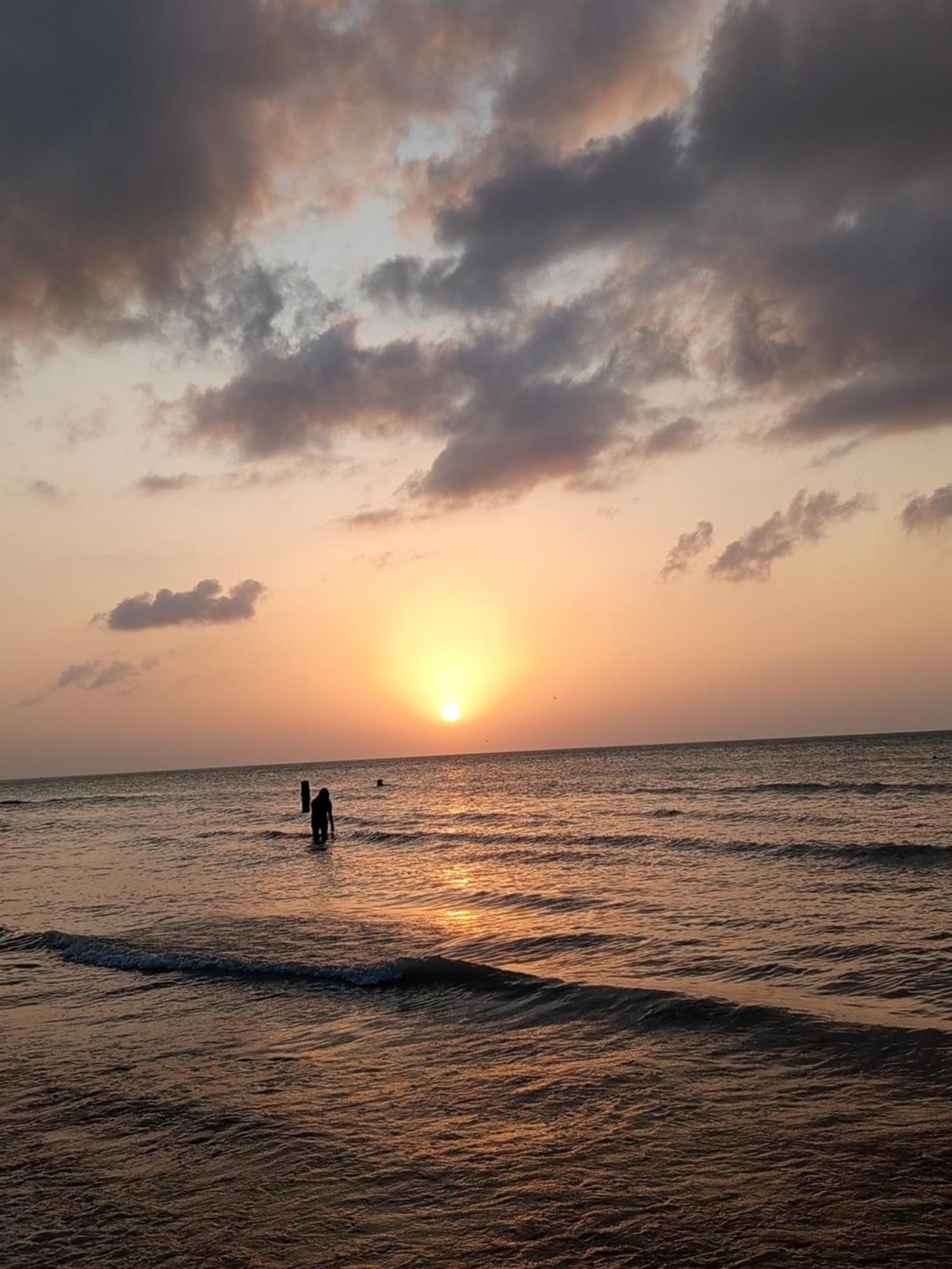 Mi habitat holbox-Maravilla natural, foto 11