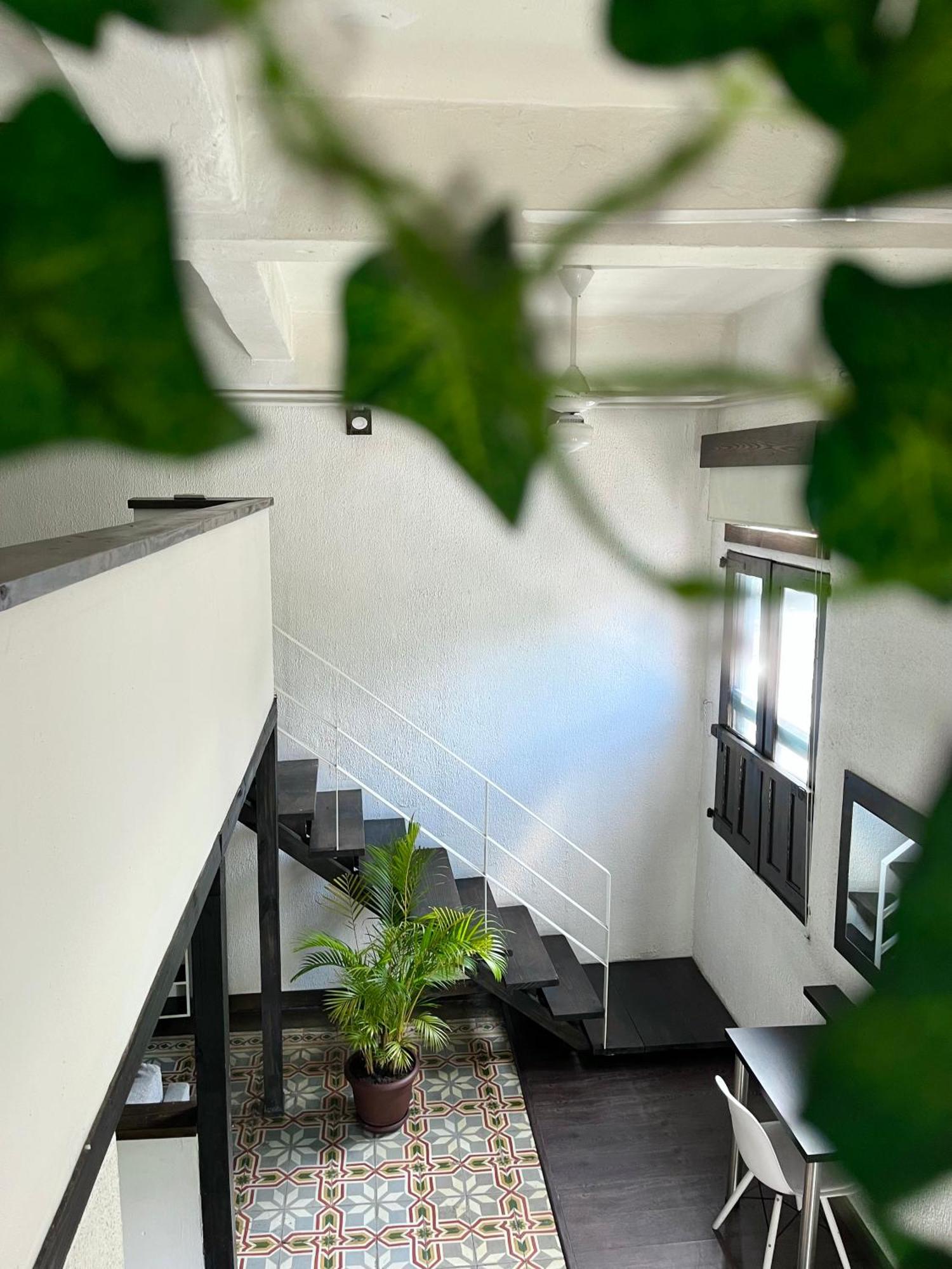 Moka House, vista principal