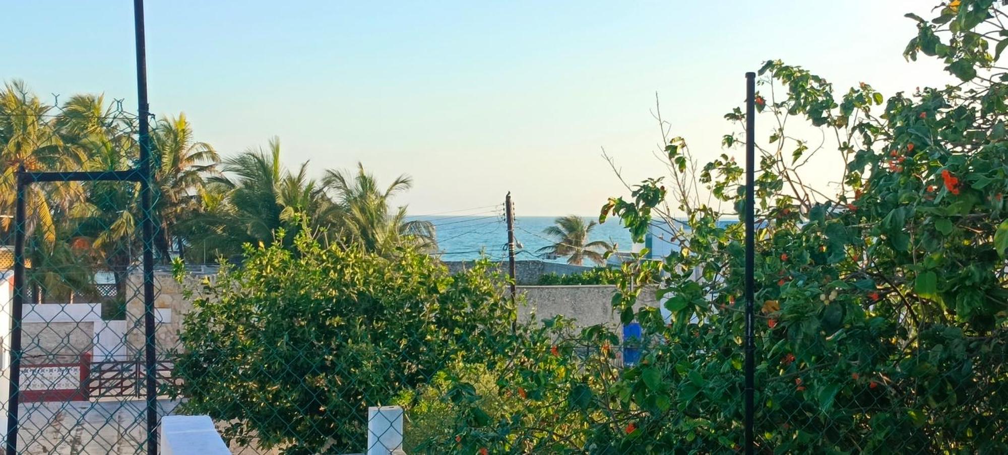 Jacque's Beachside Hostel, imagen 5