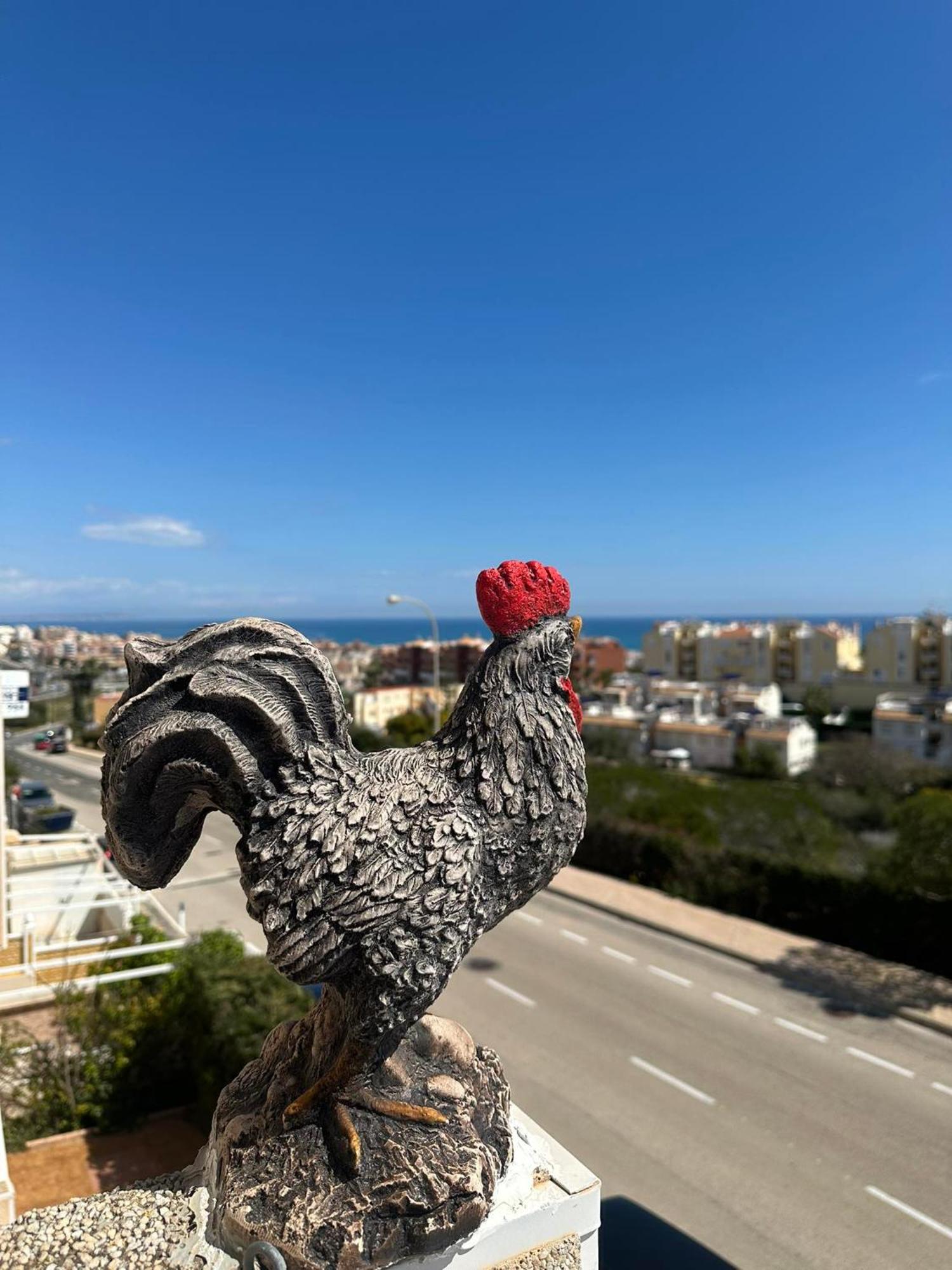 Apartament Casa del Gallo Torrevieja