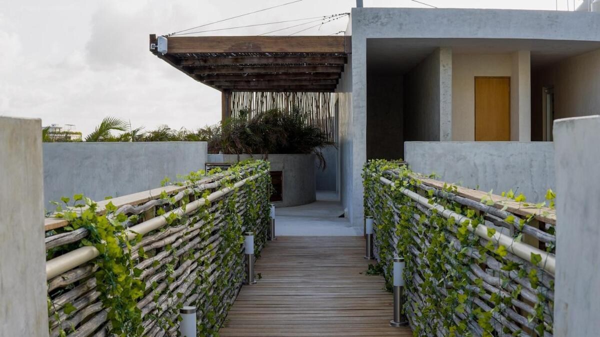 Colibrí Loft Beach Club Pass, imagen 3
