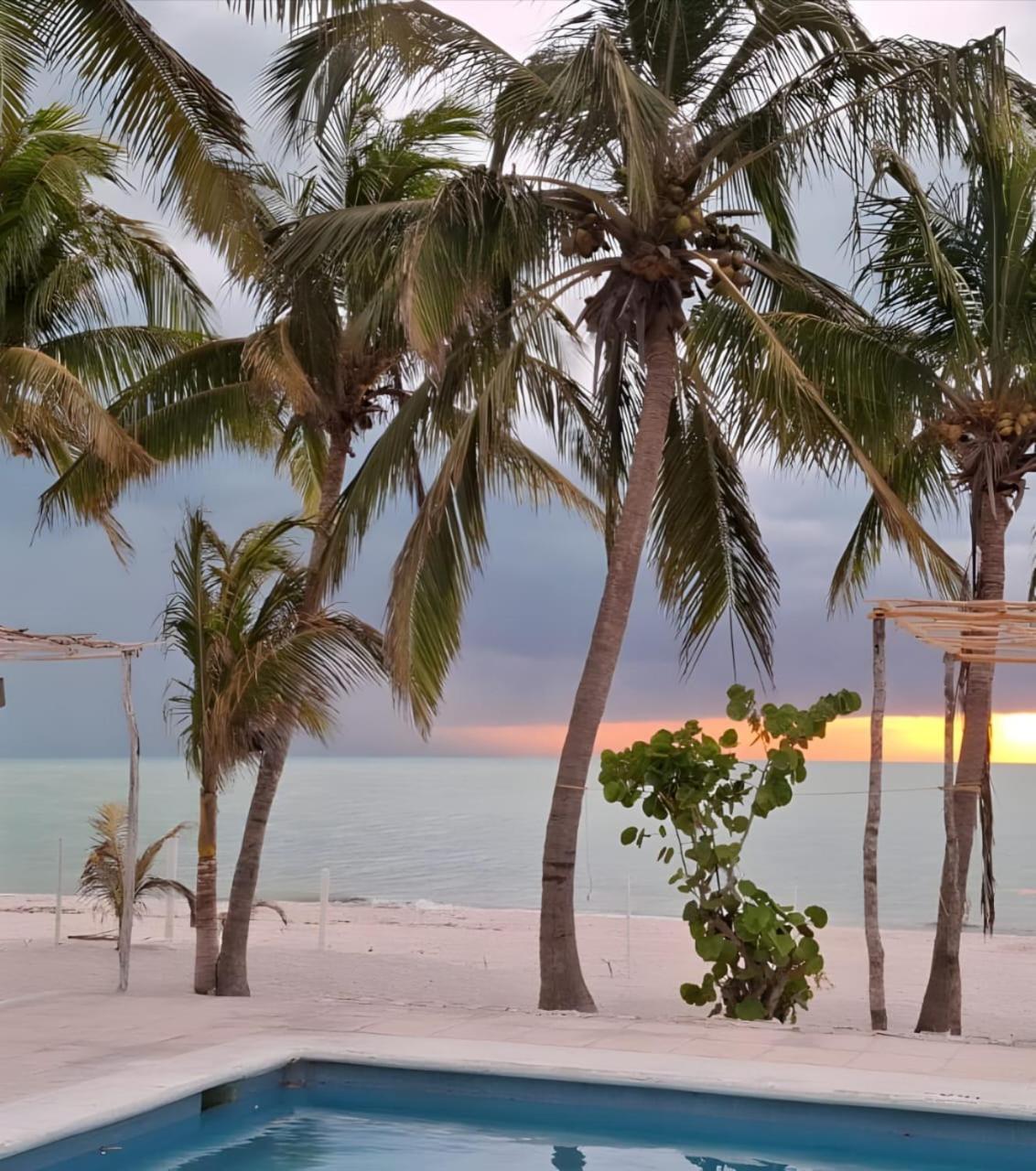 Casa del Viento Celestun, foto 7